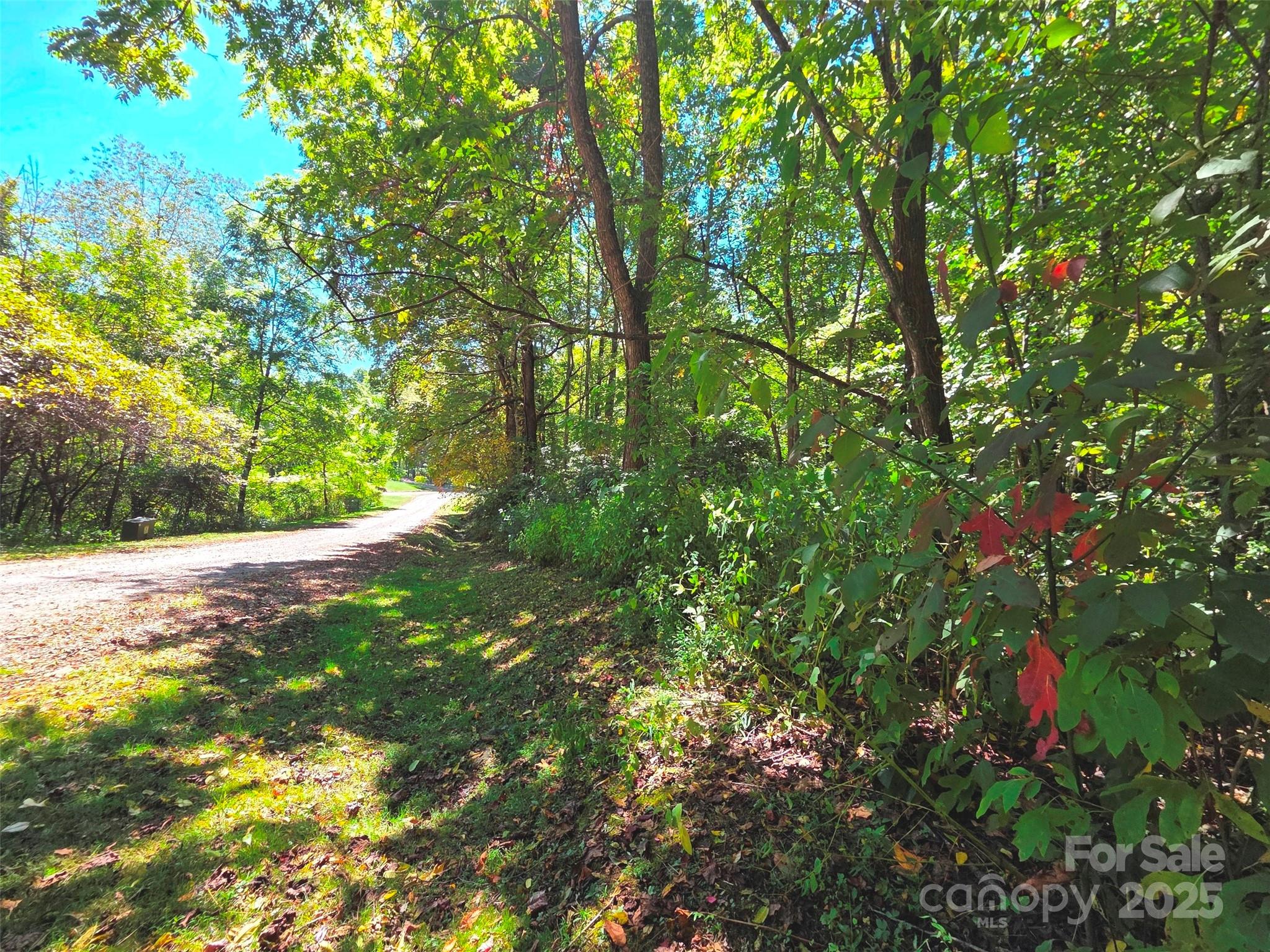 123 Live Oak Loop 29