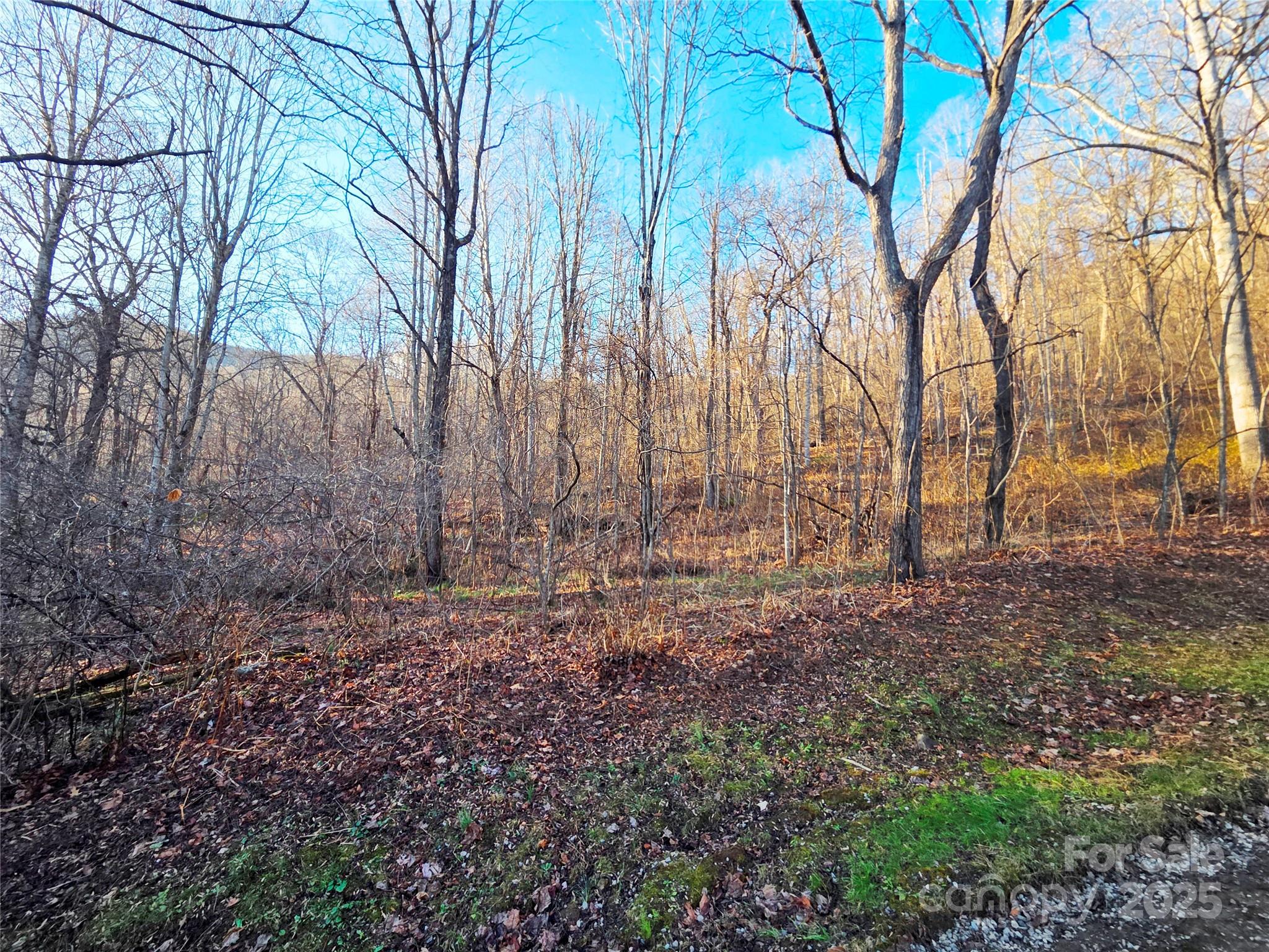 123 Live Oak Loop 29