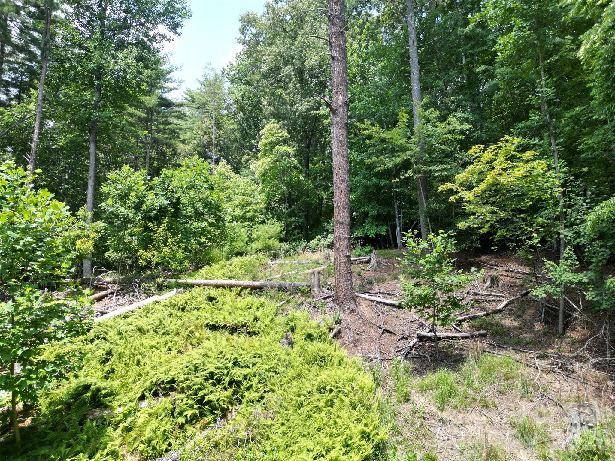 319 Valley Lane