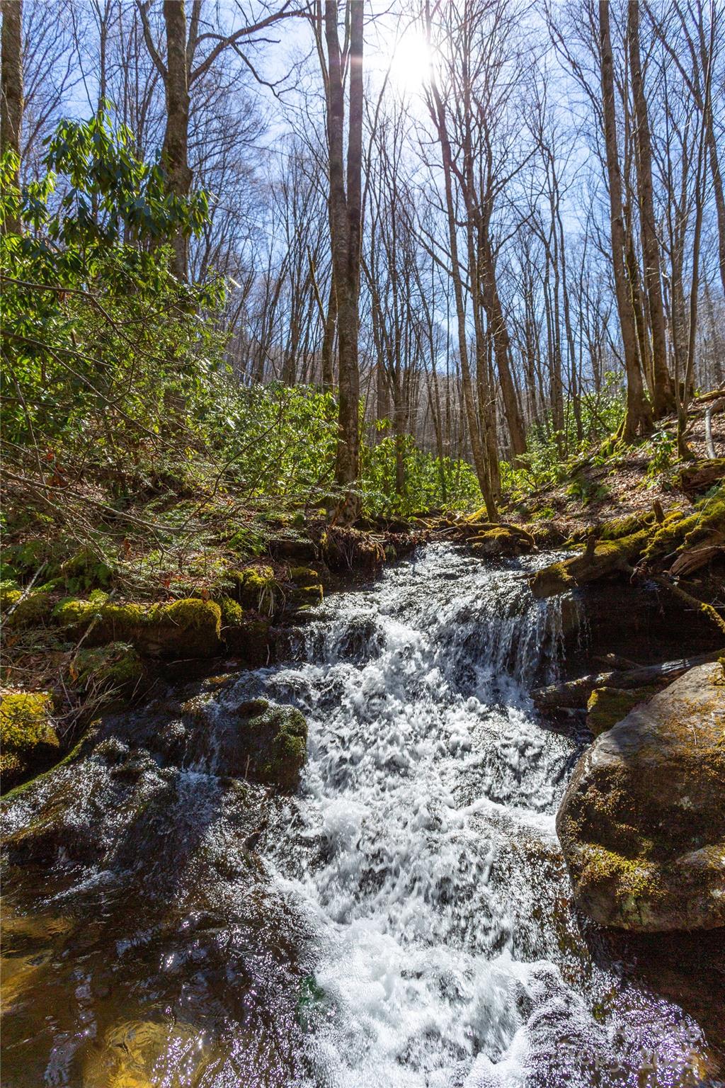 Black Rock Creek - Land