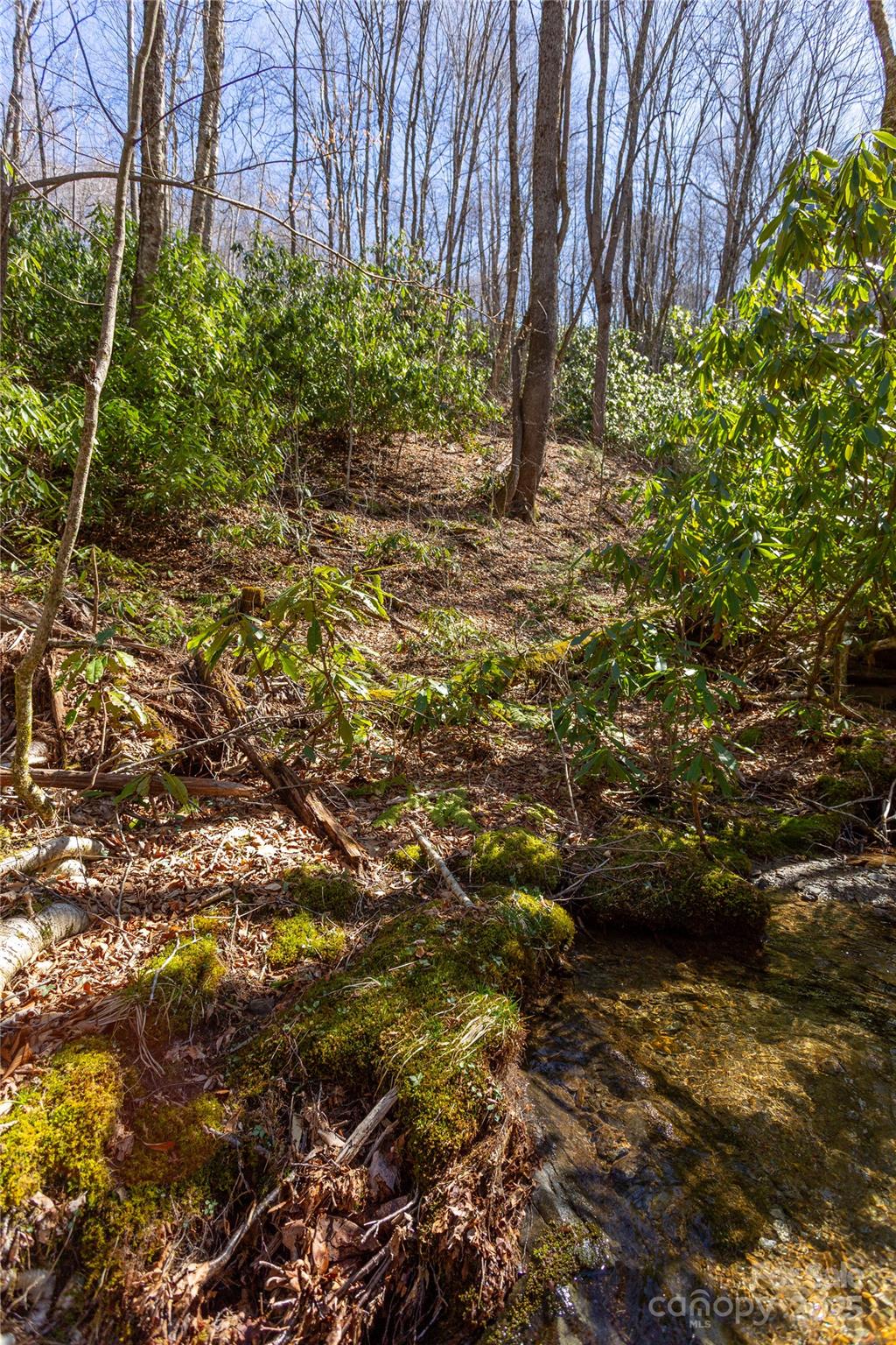 Black Rock Creek - Land
