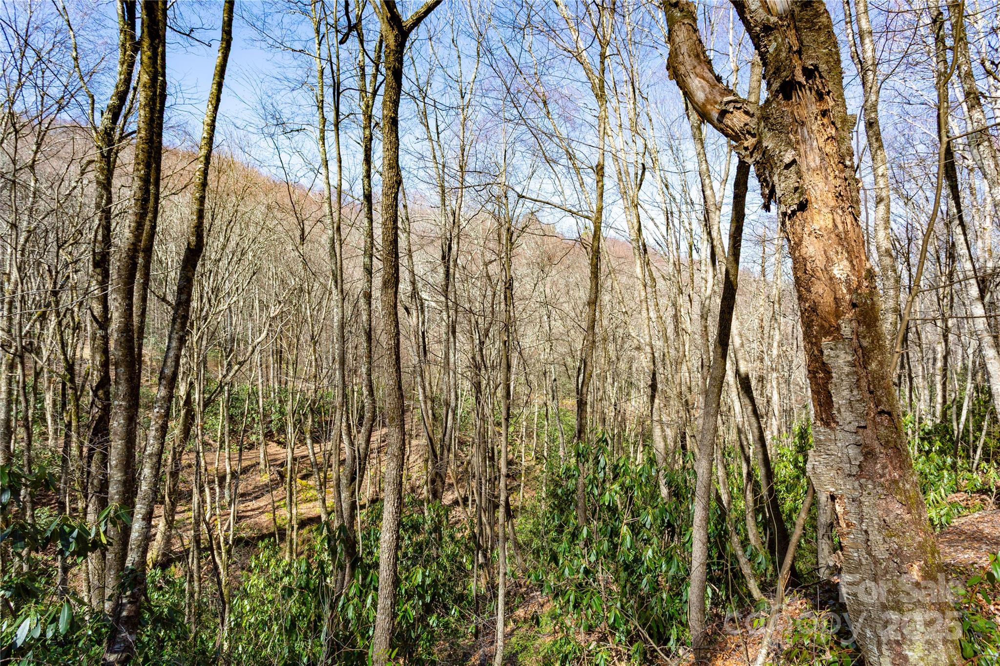 Black Rock Creek - Land