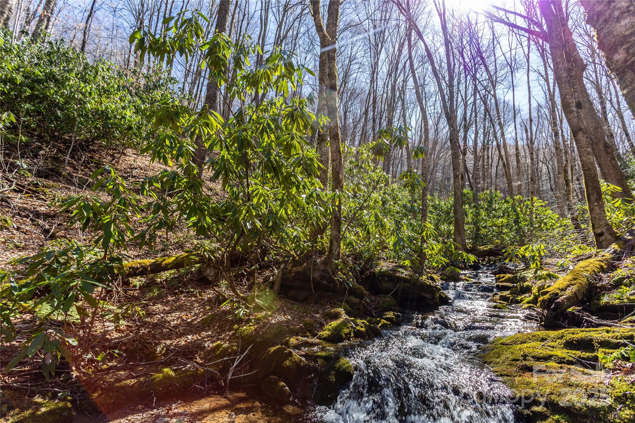 Black Rock Creek - Land