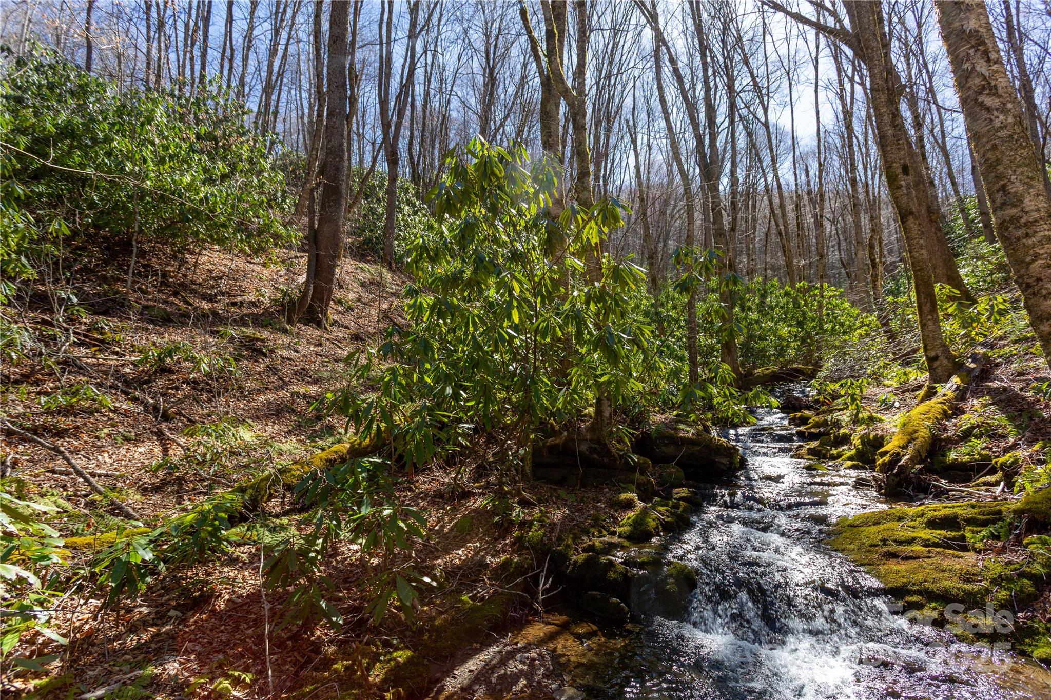 Black Rock Creek - Land