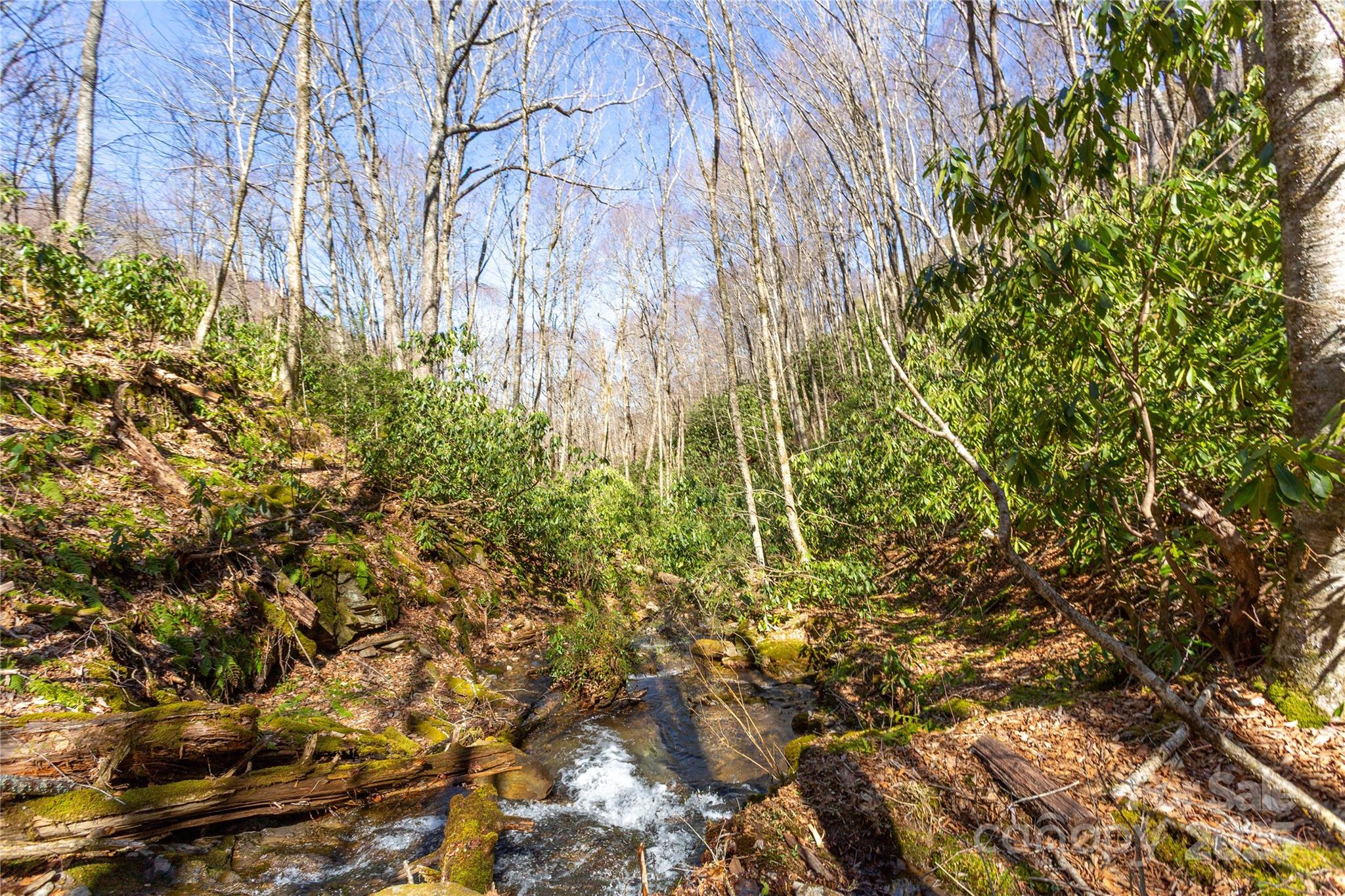 Black Rock Creek - Land
