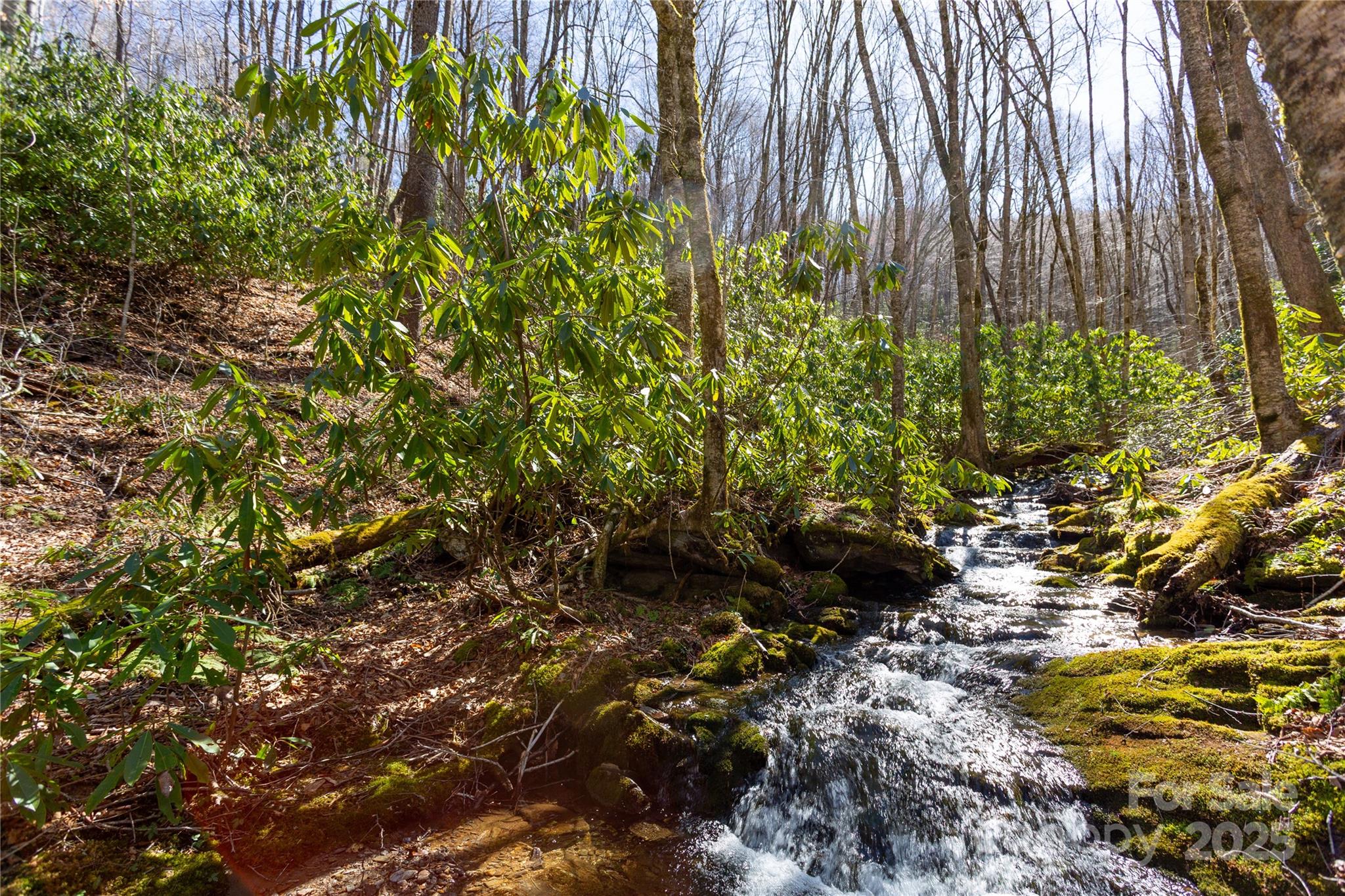 Black Rock Creek - Land