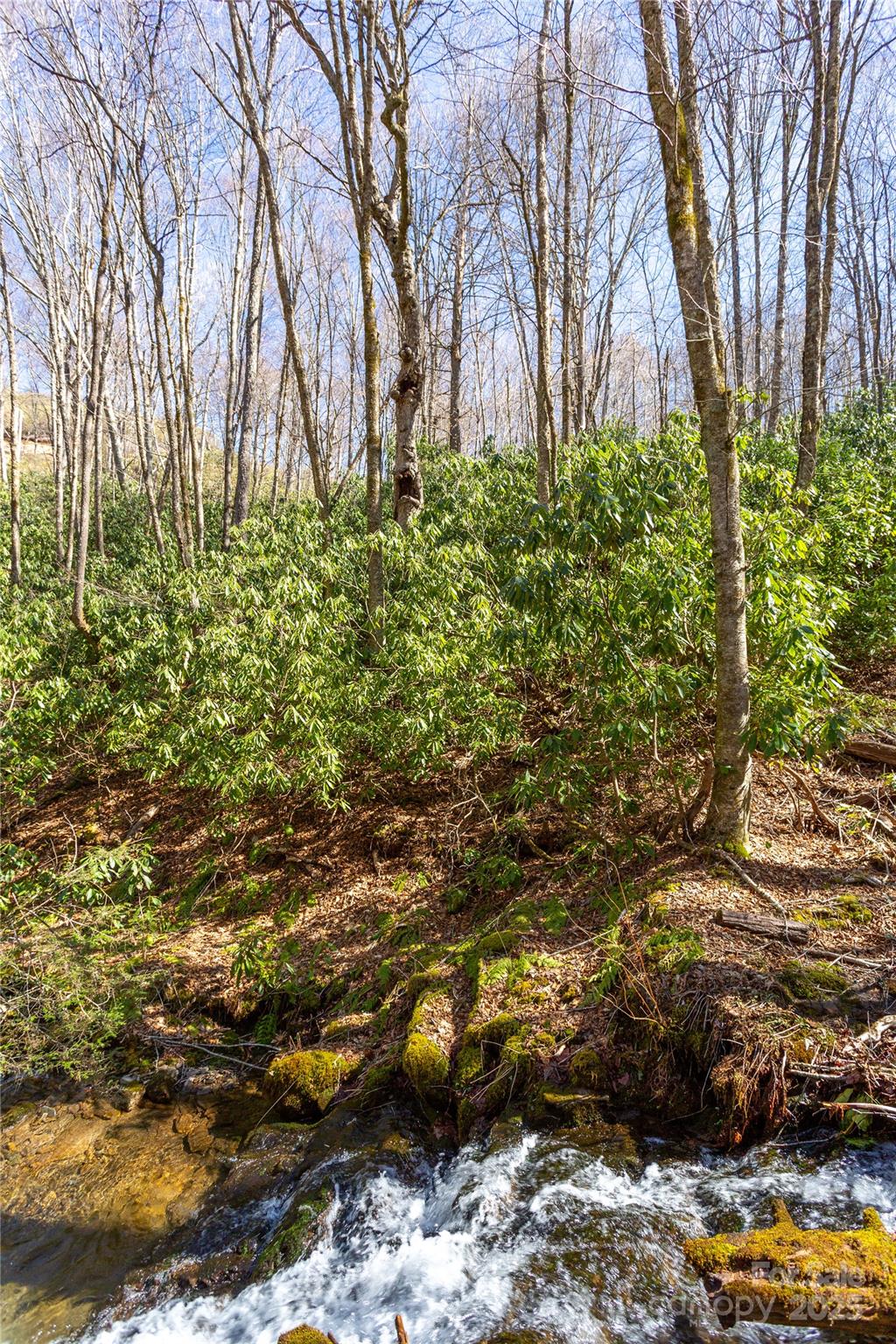 Black Rock Creek - Land