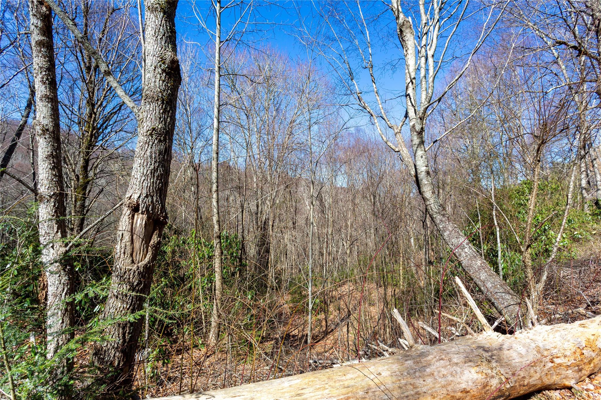 Black Rock Creek - Land