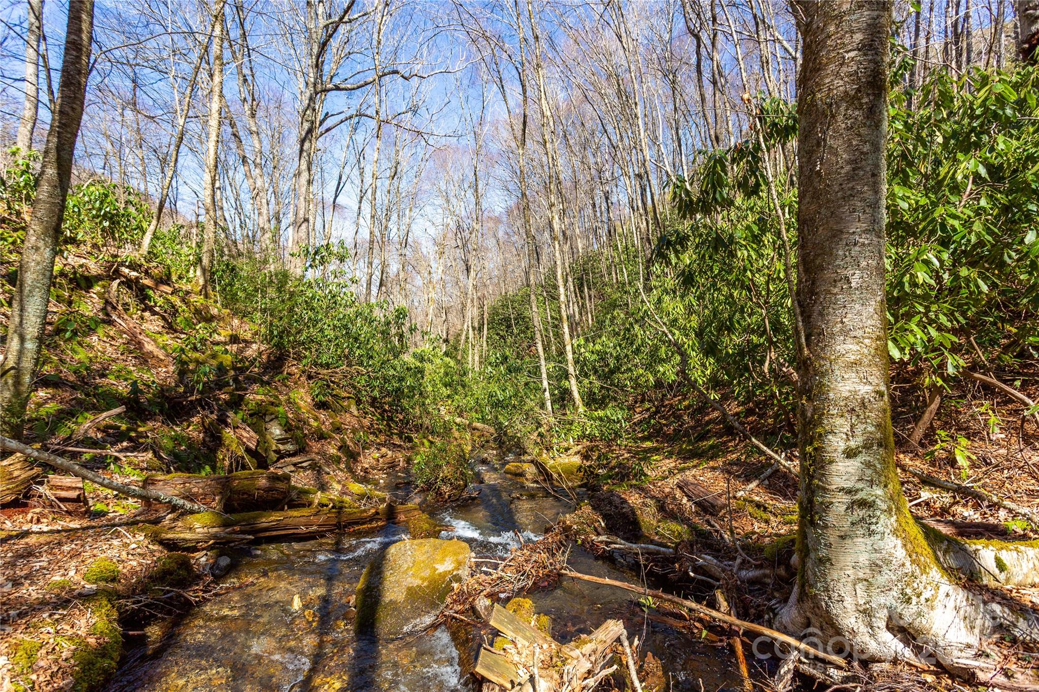 Black Rock Creek - Land