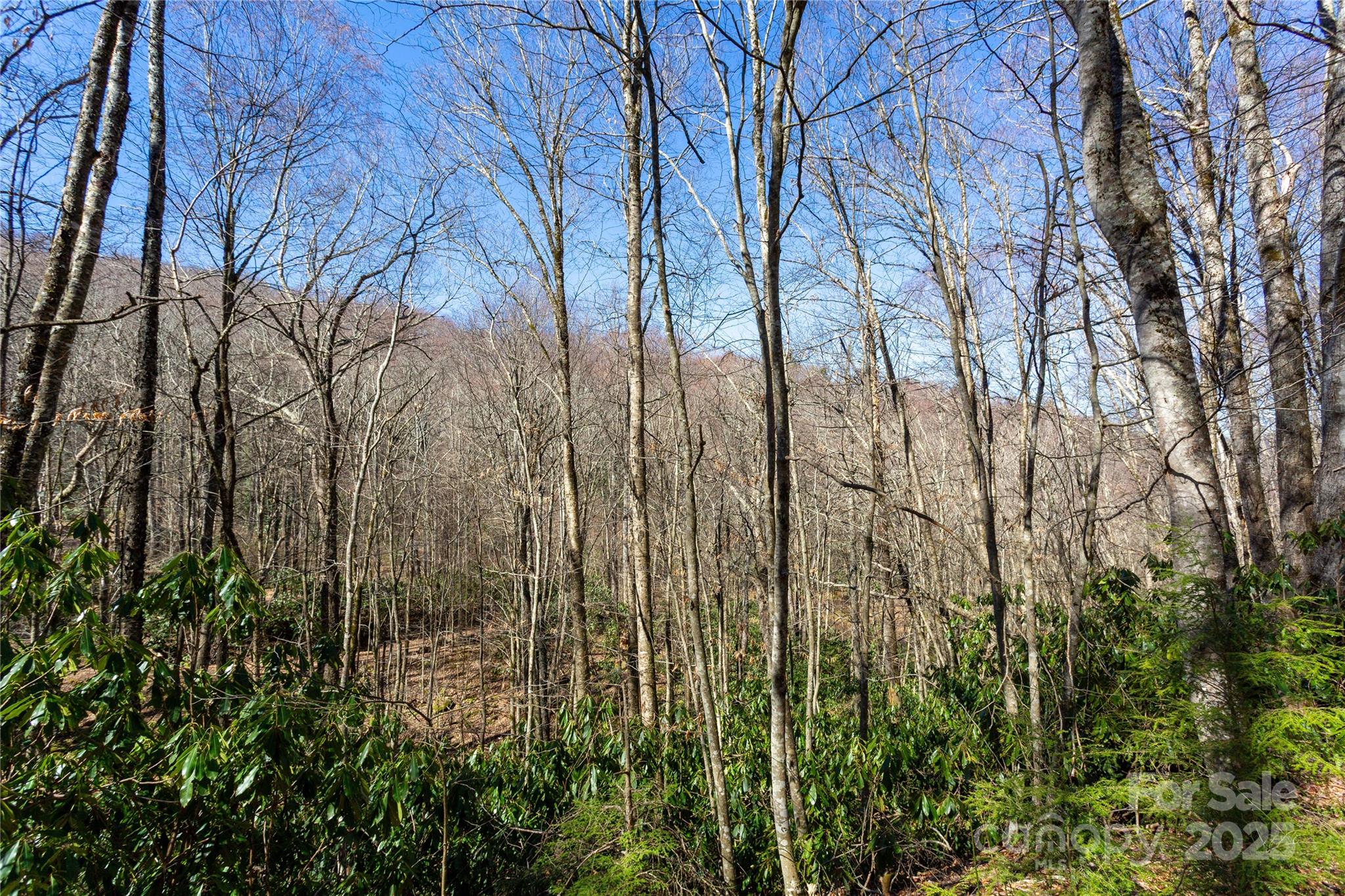 Black Rock Creek - Land