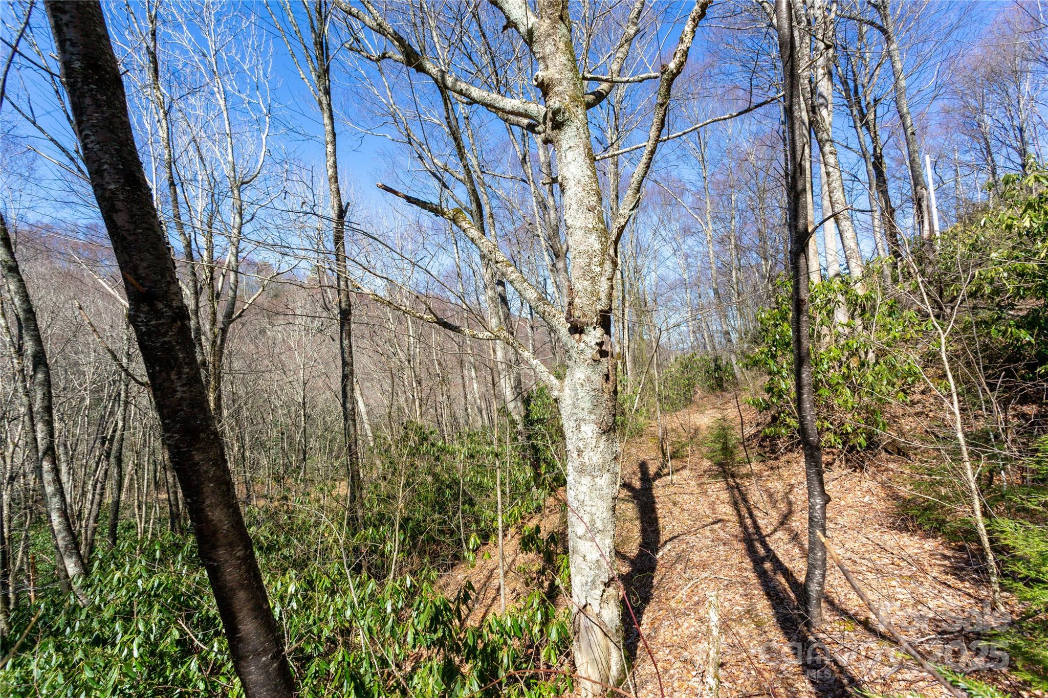 Black Rock Creek - Land