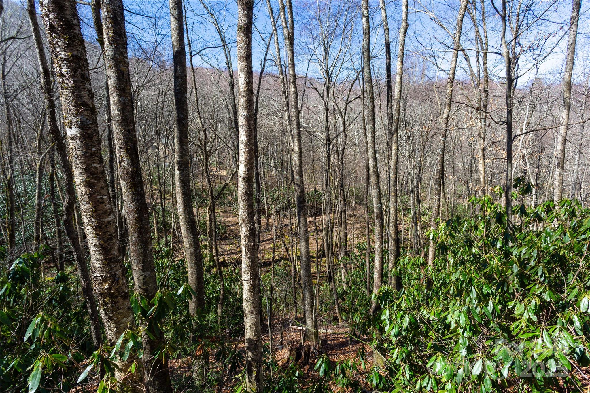 Black Rock Creek - Land