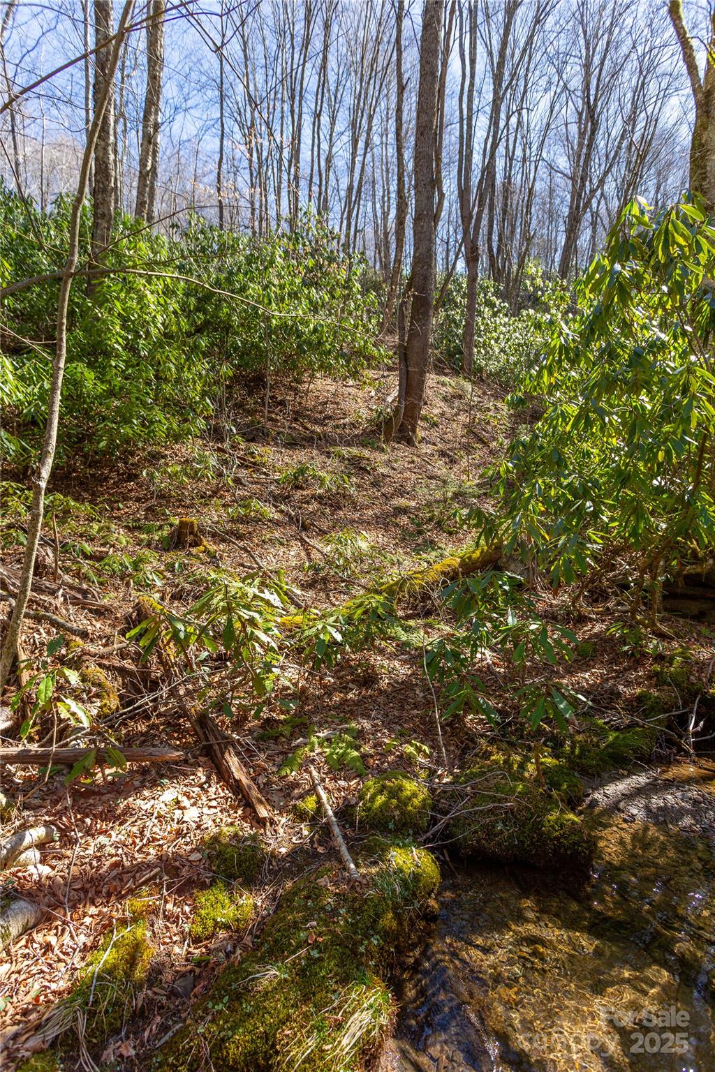 Black Rock Creek - Land