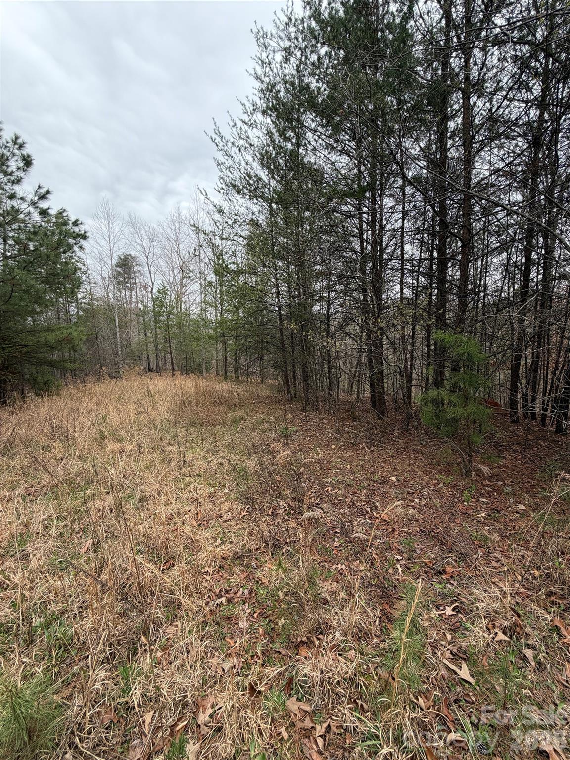 0 Shady Bark Lane 40