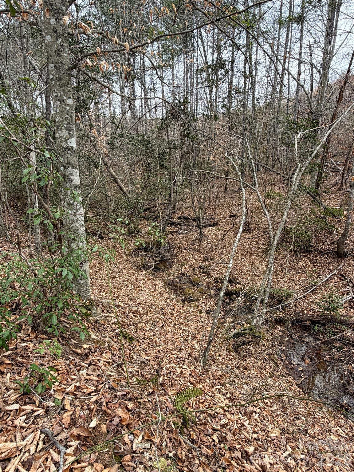 0 Shady Bark Lane 40