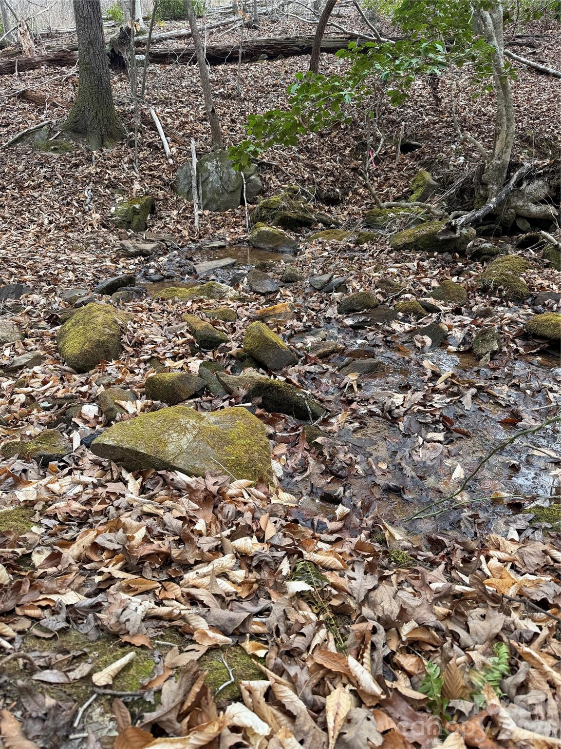 0 Shady Bark Lane 40