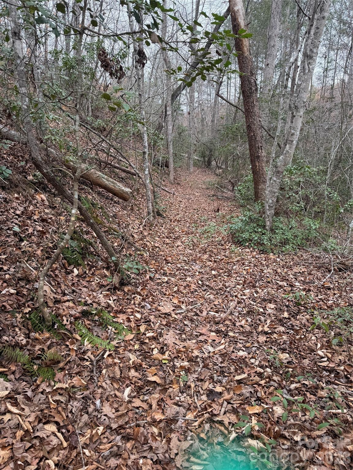 0 Shady Bark Lane 40