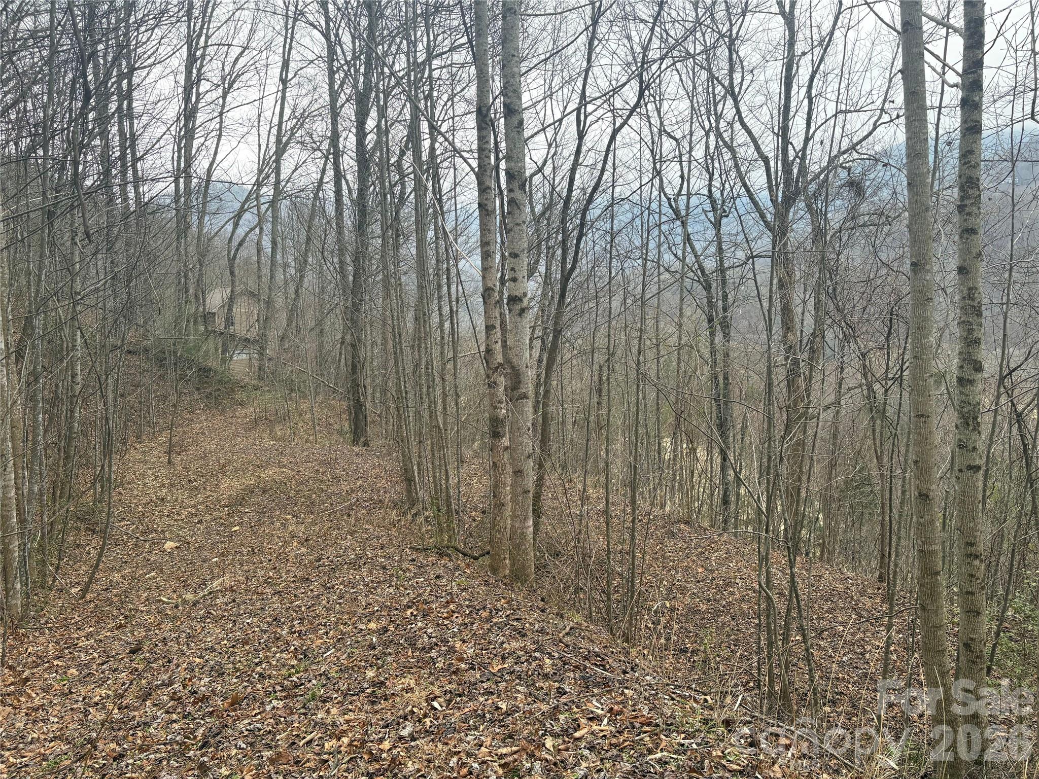 Smoky Mountain Country Club - Land