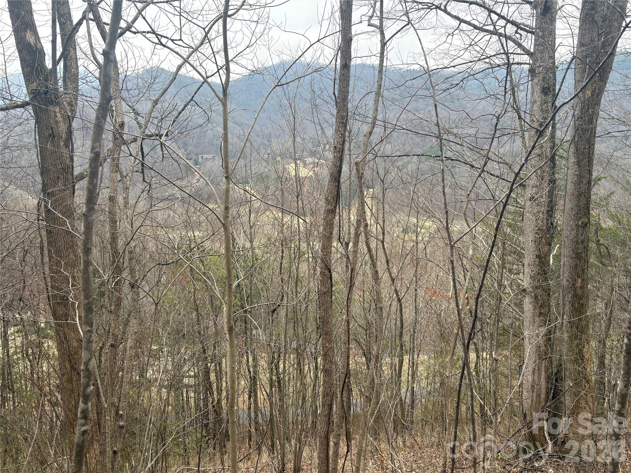Smoky Mountain Country Club - Land