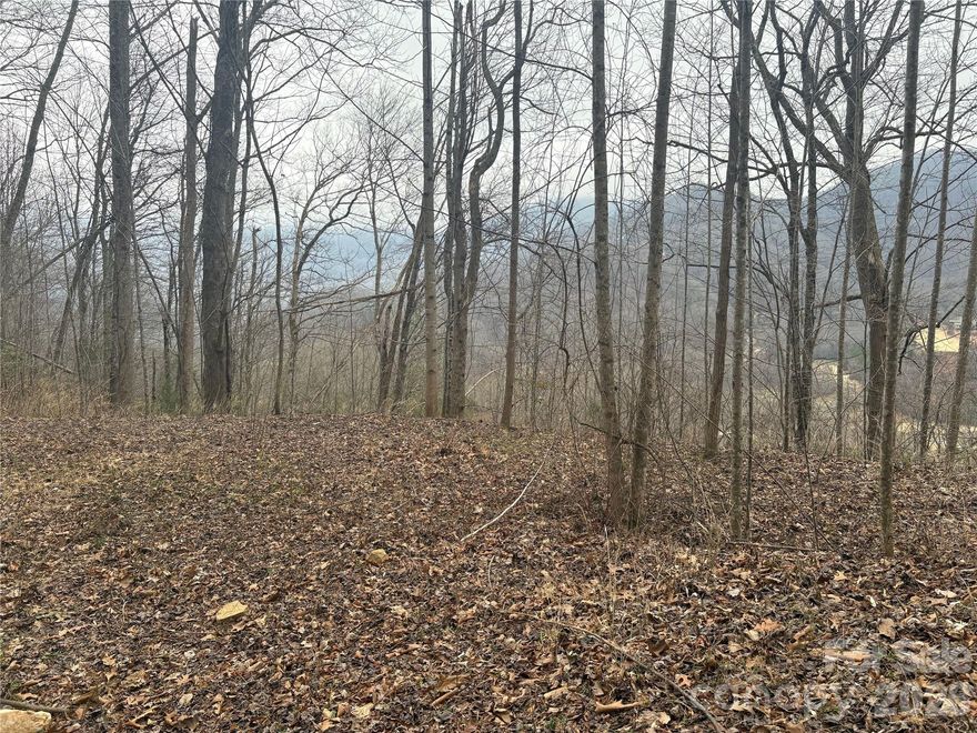 Welcome to Smoky Mountain Country Club off of Conley's Creek rd. This future homesite offers a roughed in driveway leading to a leveled area, views of the surrounding mountains and golf course, community water and sewer ready to be connected to a future build, underground electricity, and a serene community atmosphere. Smoky Mountain Country Club is a gated community with an HOA offering paved roads and amenities such as a clubhouse, outdoor pool, hot tub, fitness center, 18-hole golf course with optional membership, and tennis courts. This lot is located near the Harrah's Cherokee casino, outdoor activities in the Nantahala, and is only a short drive to Sylva. The views are long range and provide a picture worthy view of Clingman's Dome. 
With most of the hard work and expense already done, come envision your primary, secondary, or vacation rental on this beautiful vacant lot in Whittier, NC.