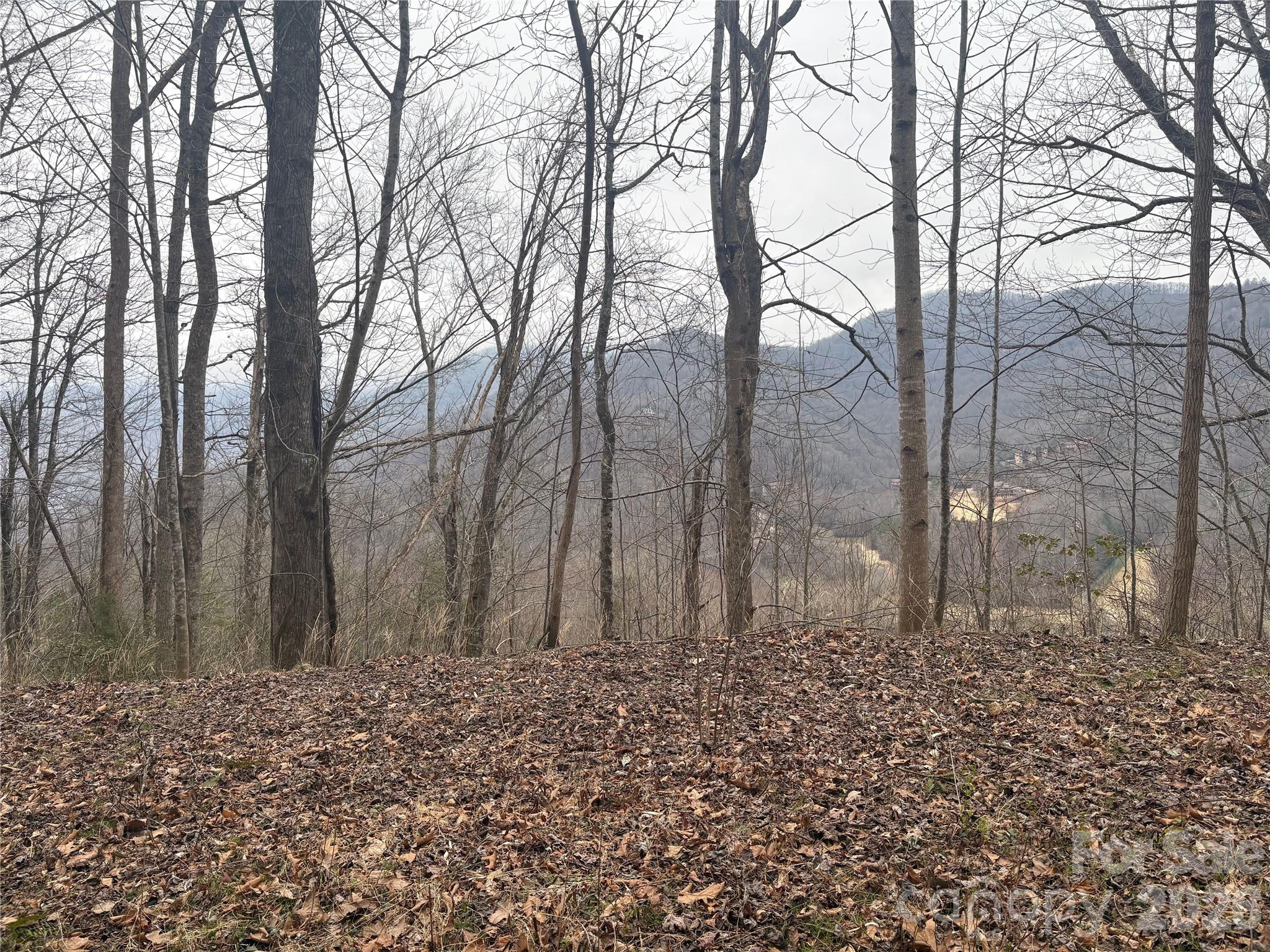 Smoky Mountain Country Club - Land