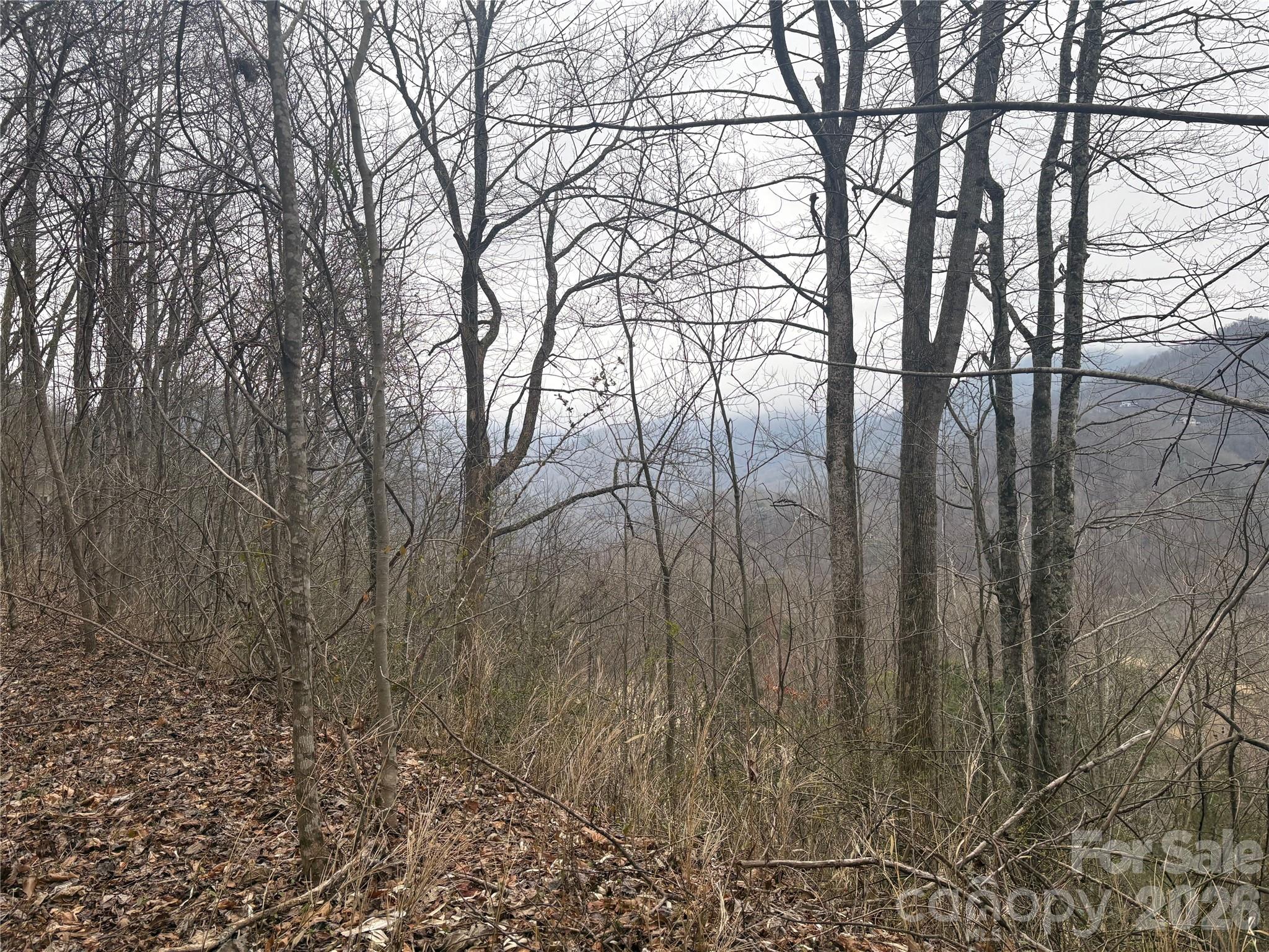 Smoky Mountain Country Club - Land