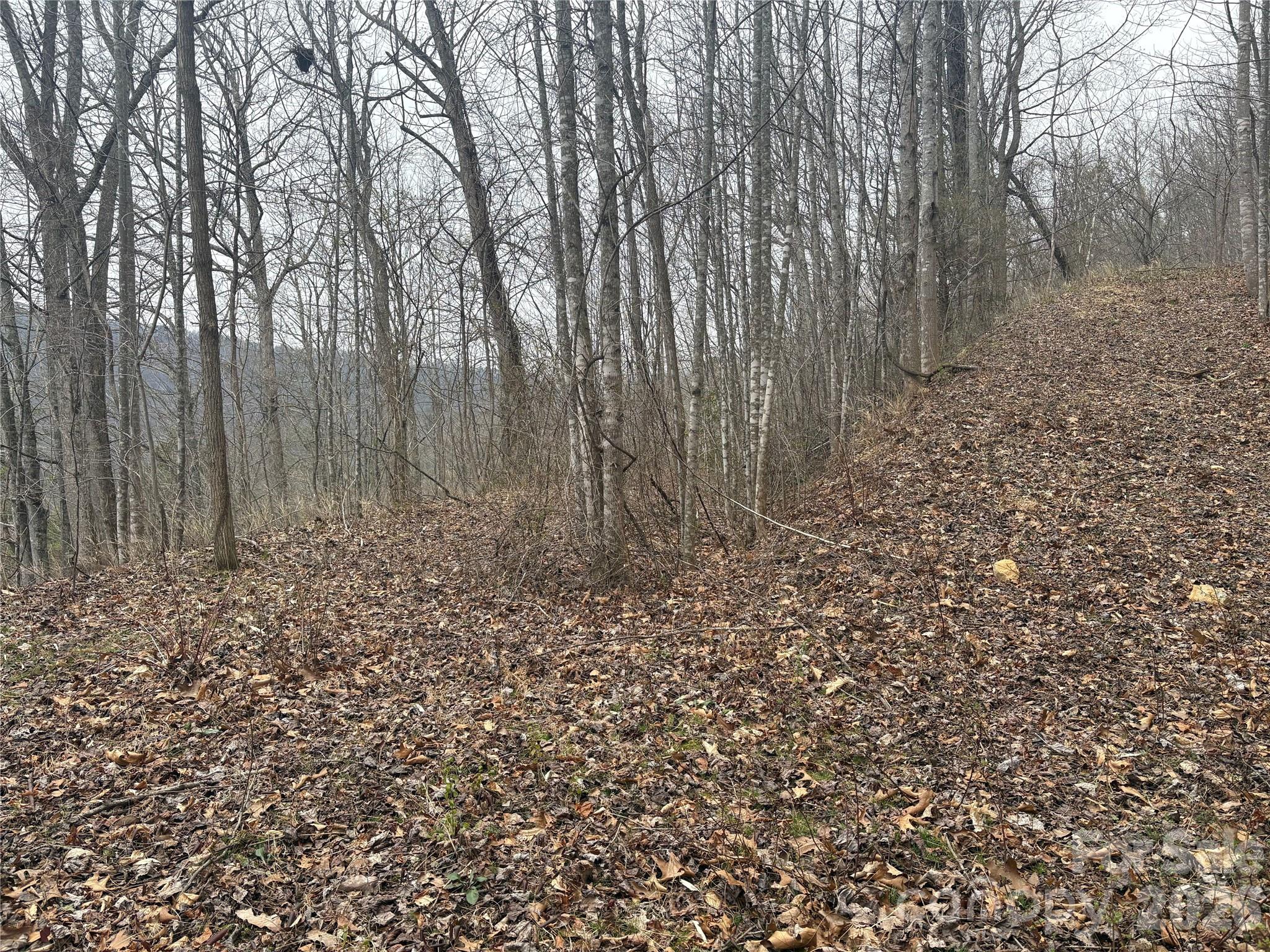 Smoky Mountain Country Club - Land