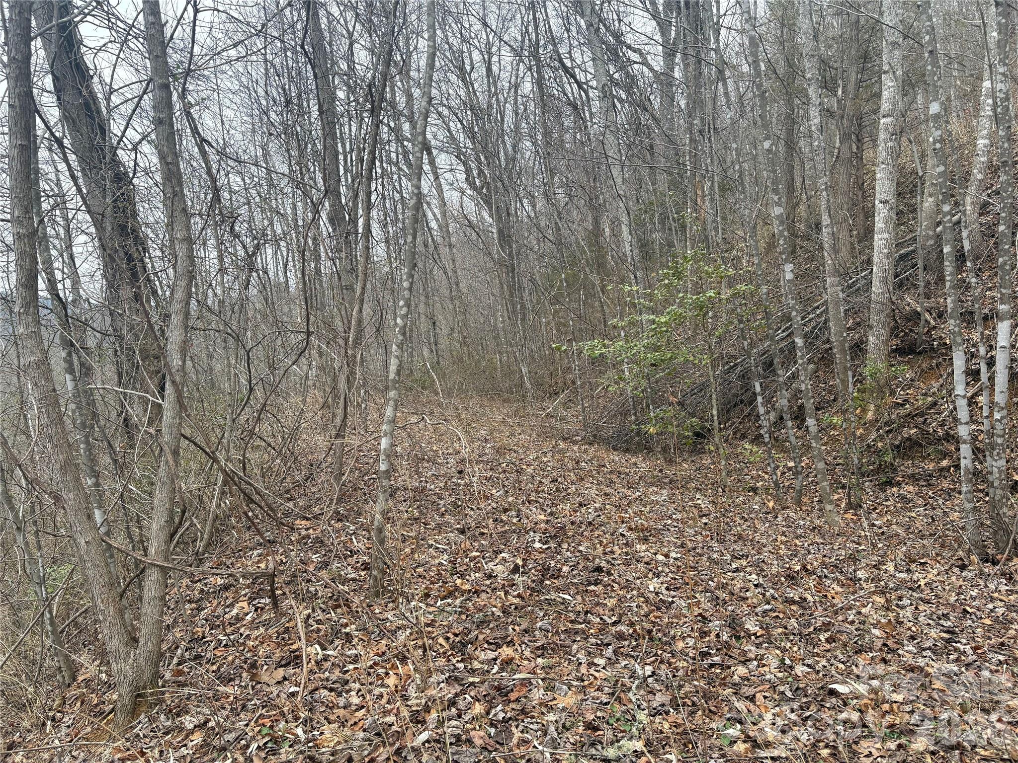 Smoky Mountain Country Club - Land