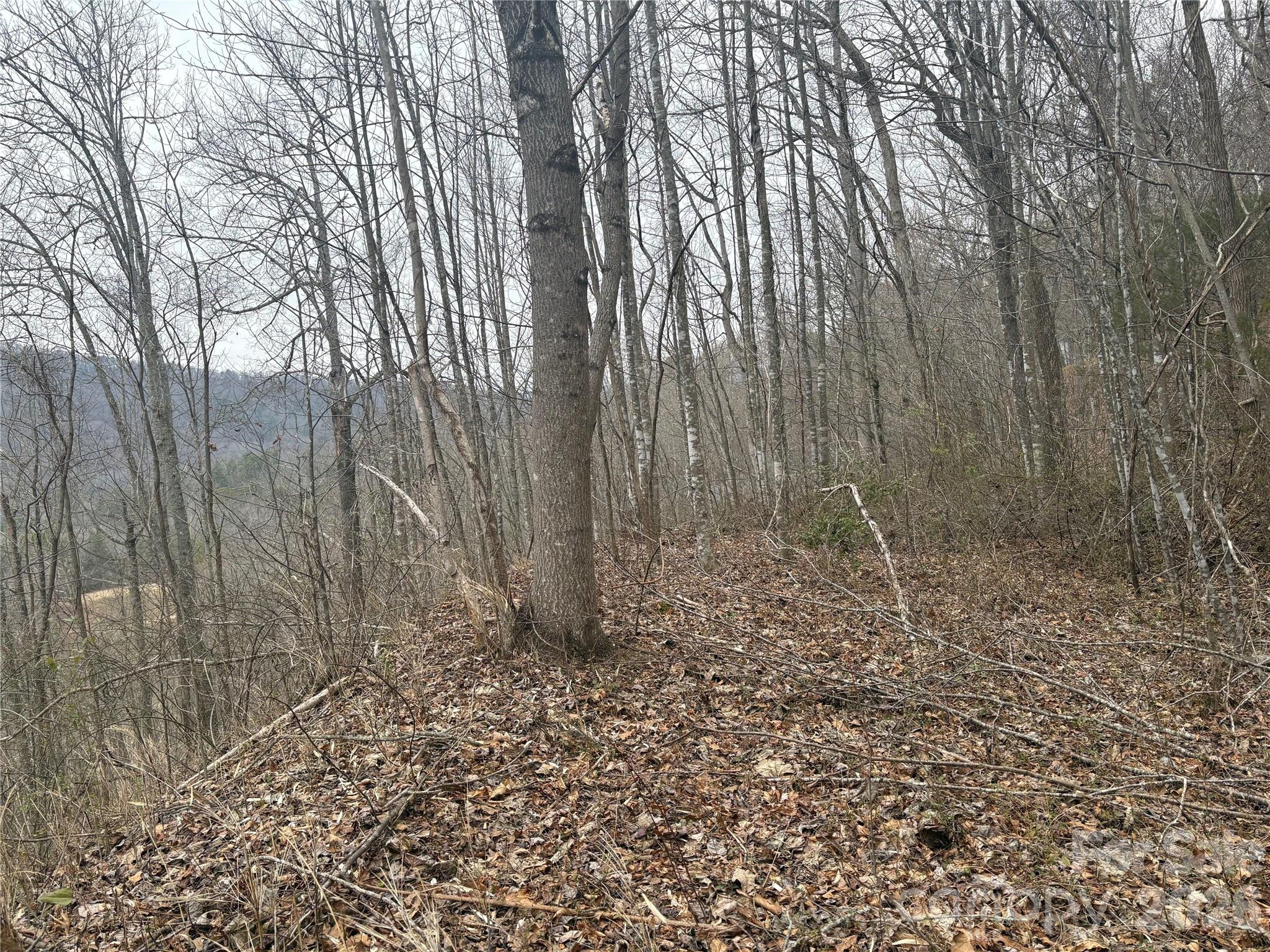 00 Country Club Drive 11