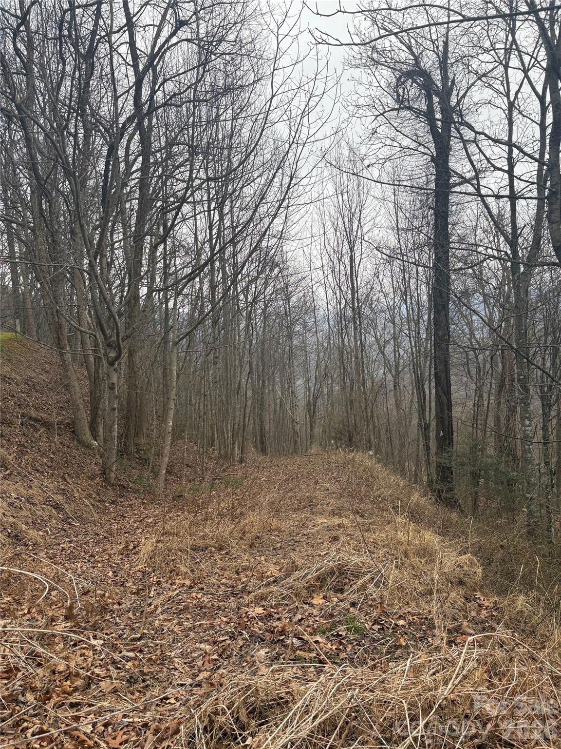 00 Country Club Drive 11