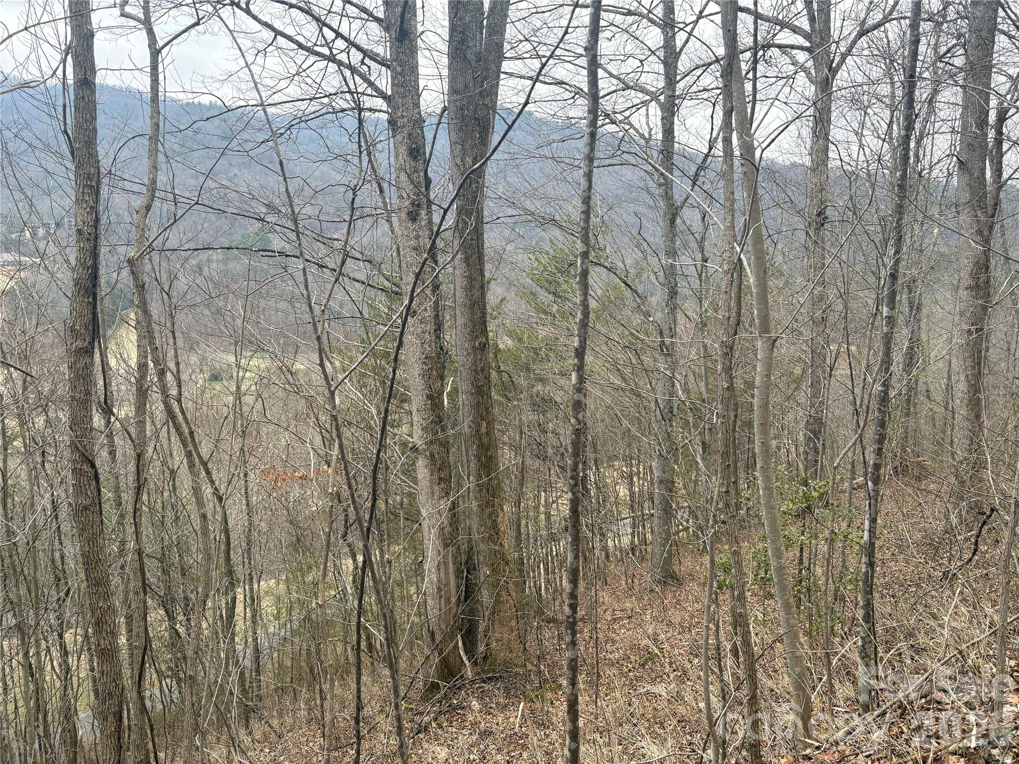 Smoky Mountain Country Club - Land