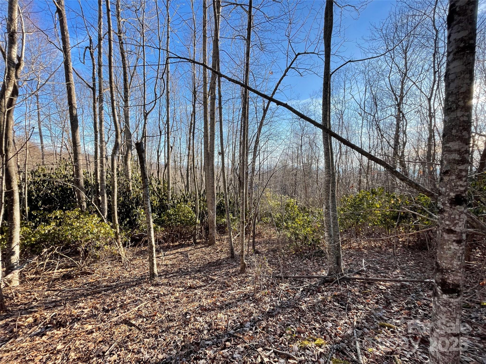 000 Hardwood Summit None 191