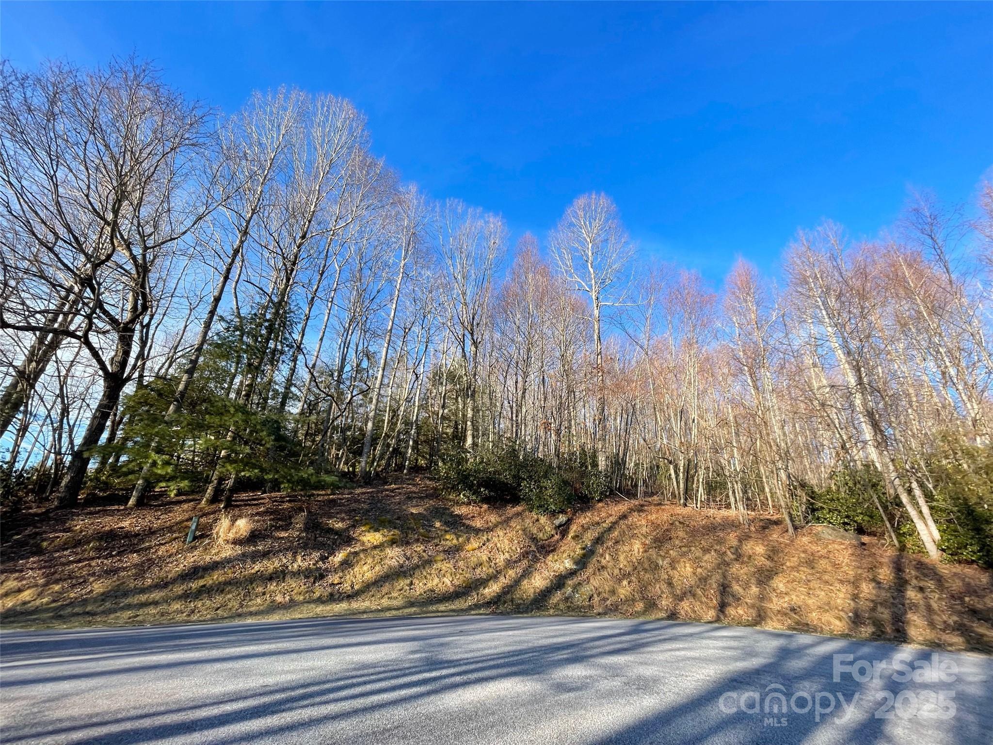 000 Hardwood Summit None 191