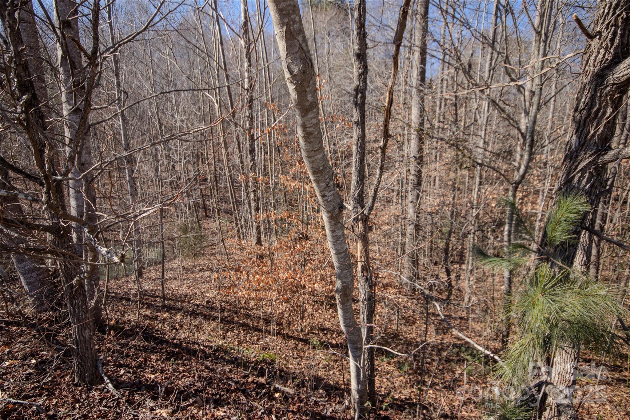 746 Chatsworth Circle SE 21