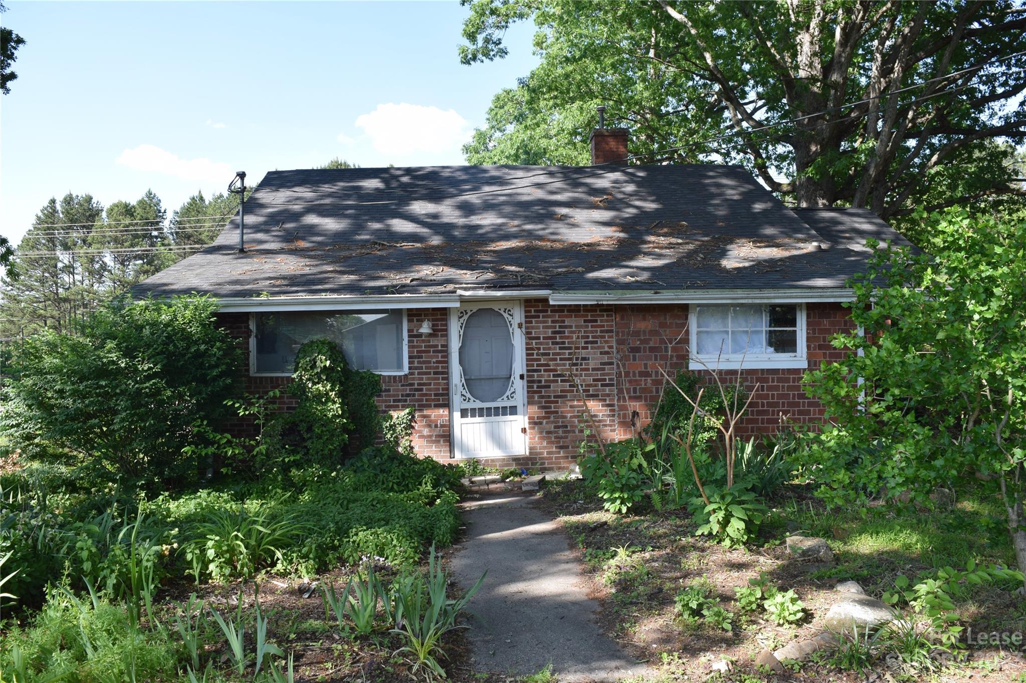 none - Residential Lease