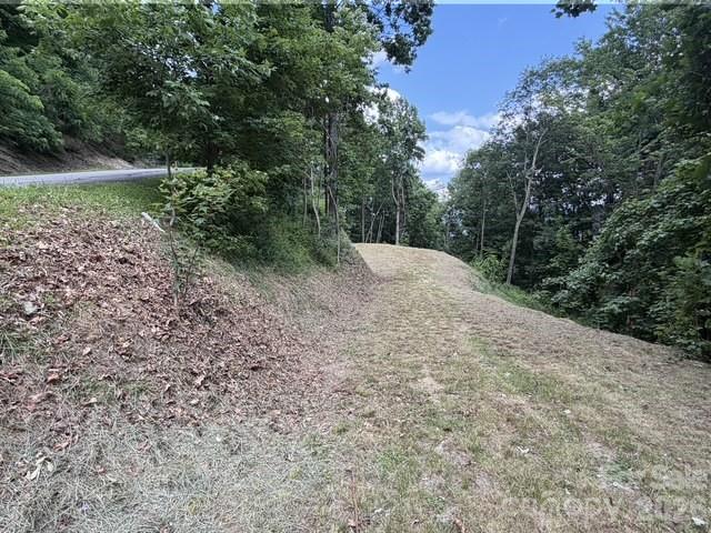 175 Renegade Ridge