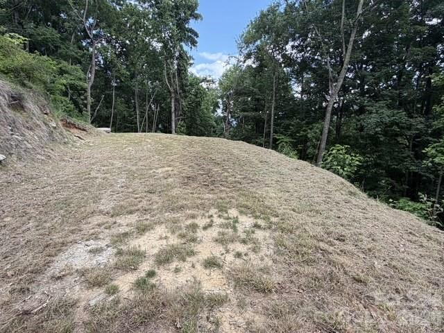 175 Renegade Ridge