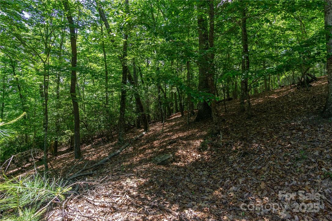 Homestead at Mills River - Land