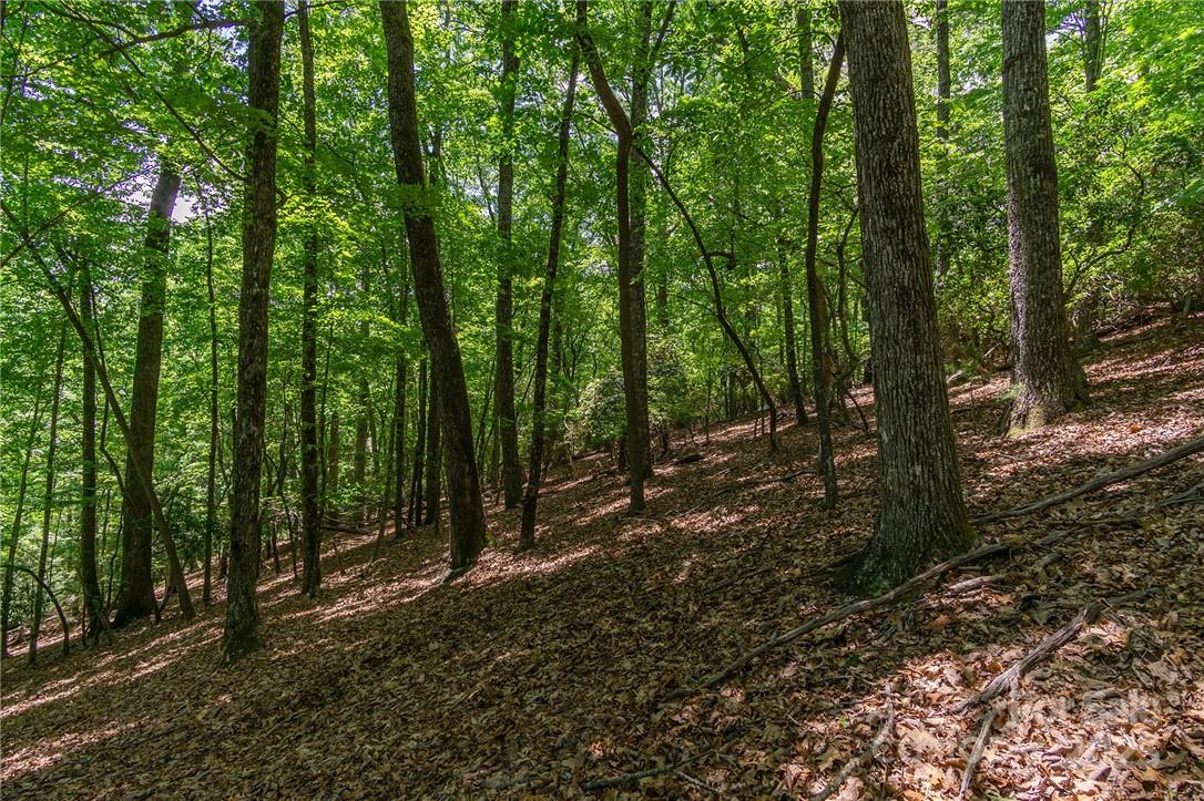 Homestead at Mills River - Land