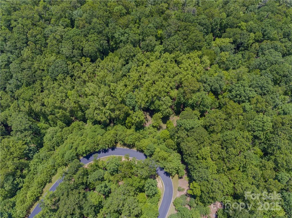 Homestead at Mills River - Land