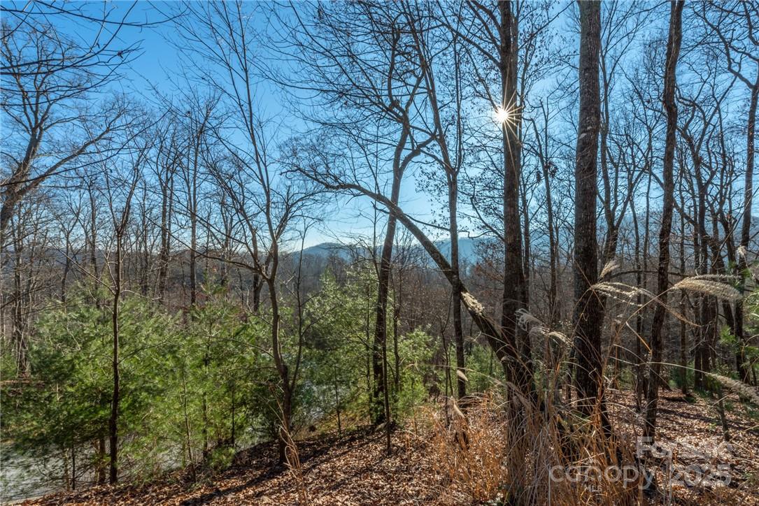 Homestead at Mills River - Land