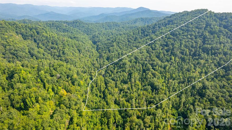 Back on the market at new lower price! Lot 11 out of 20 recently surveyed parcels. 23.07 UNRESTRICTED acres of natural beauty conveniently located 15 miles from Downtown Blowing Rock and all of it's amenities! 2 streams converge on this parcel. With its mountain views and tranquil atmosphere, this property offers the perfect escape from city life. Embrace the chance to create your own haven amidst the natural splendor of this property. This hidden gem is a true sanctuary, offering a retreat from the digital world allowing you to fully disconnect and enjoy the serenity of your surroundings. Follow the AWD/4WD road (or walk) right to the property line. Property lines are marked. 13 miles from Brown Mountain OHV 34 mile trail system! The only OHV area in Pisgah National Forest. This area is part of the internet rural initiative and will be getting fiber optic in the future. Call listing agent before driving to the property for more information. Spectrum cable! Recent road improvements!