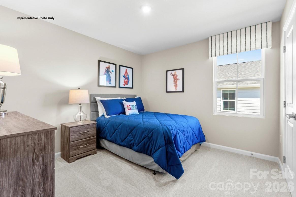 Laney Farms - Residential