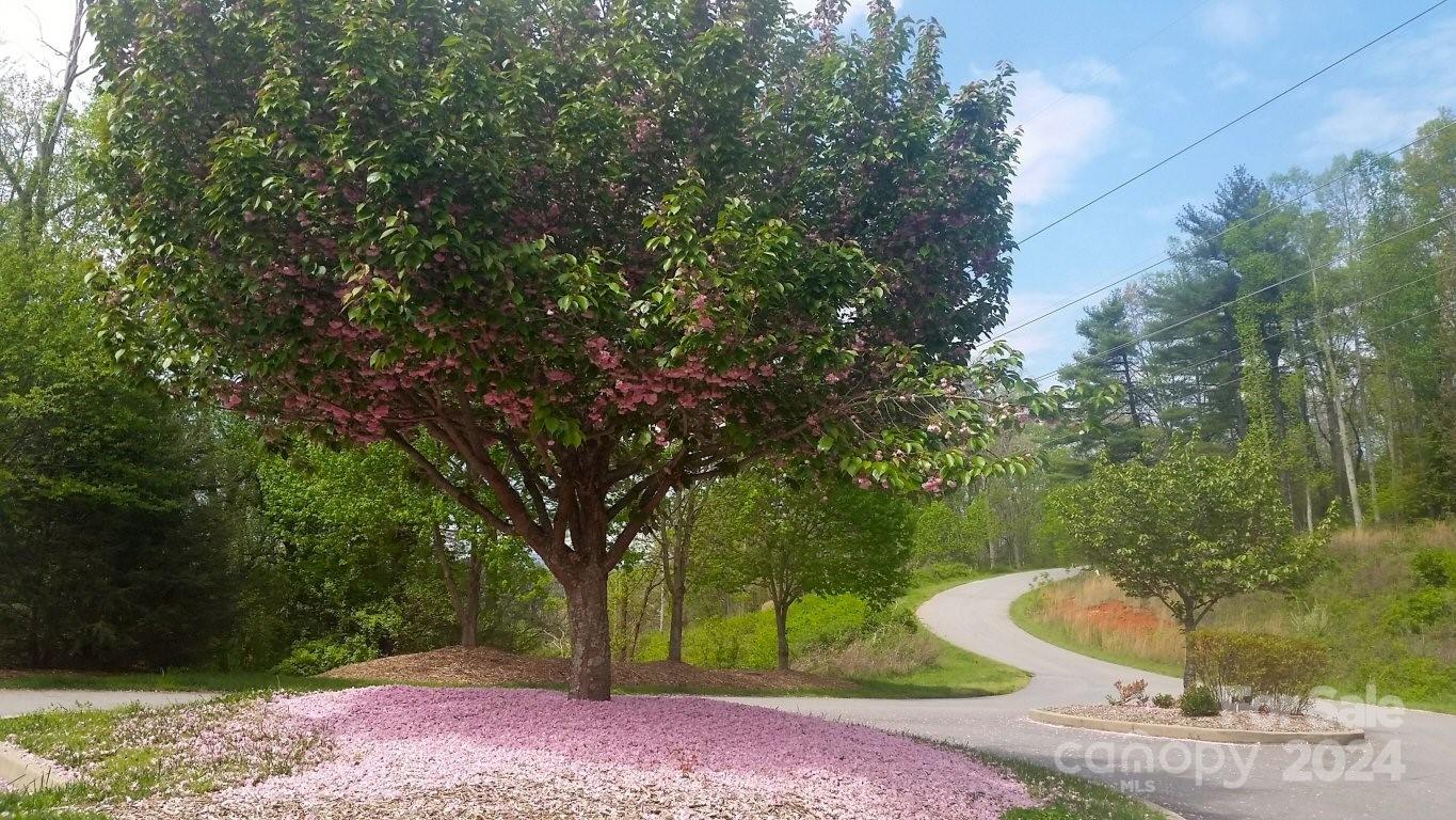 Pinnacle at Arabella Heights - Residential