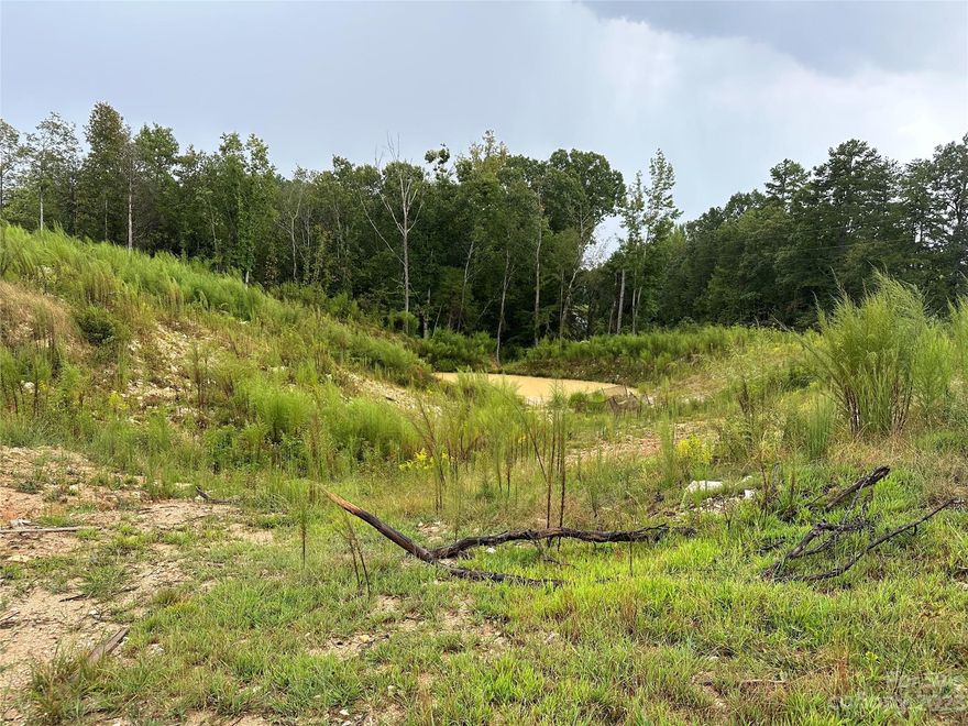 7 Acres ready for you!! This is zoned rural and front 3 acres are mostly clear while the remaining land is wooded. A possible pond on site as well. This is priced to sell! Take your client's to walk this beautiful property located about 45 minutes away from Rock Hill/Charlotte area. No known restrictions.