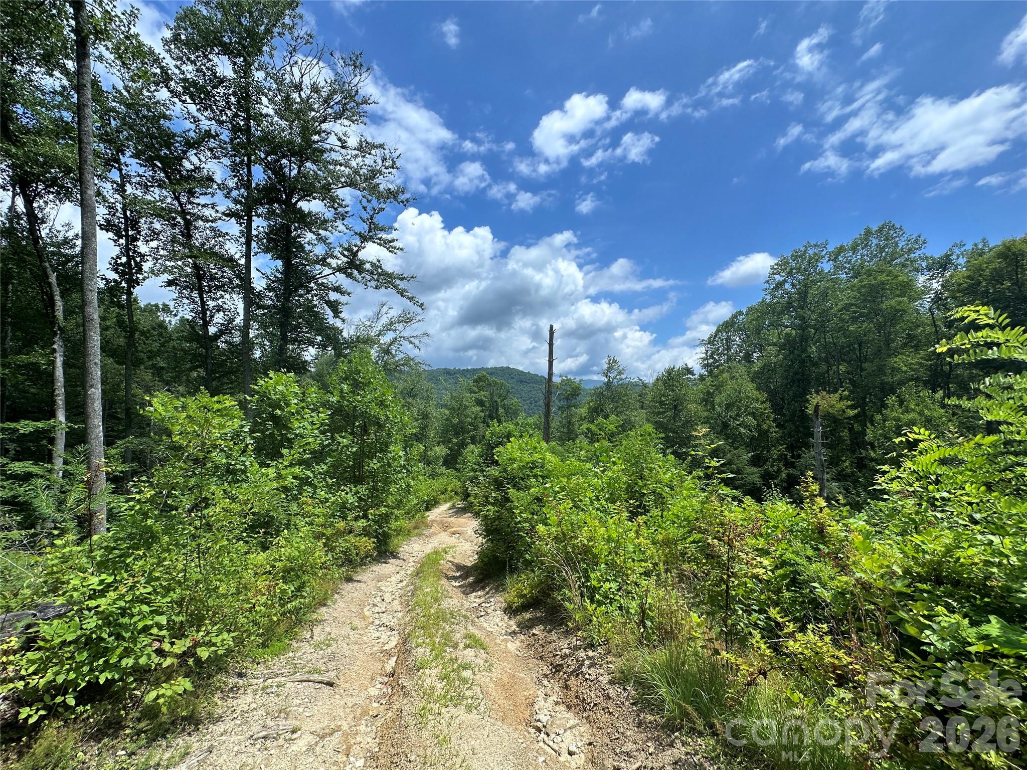 TBD NC Highway 194 None S