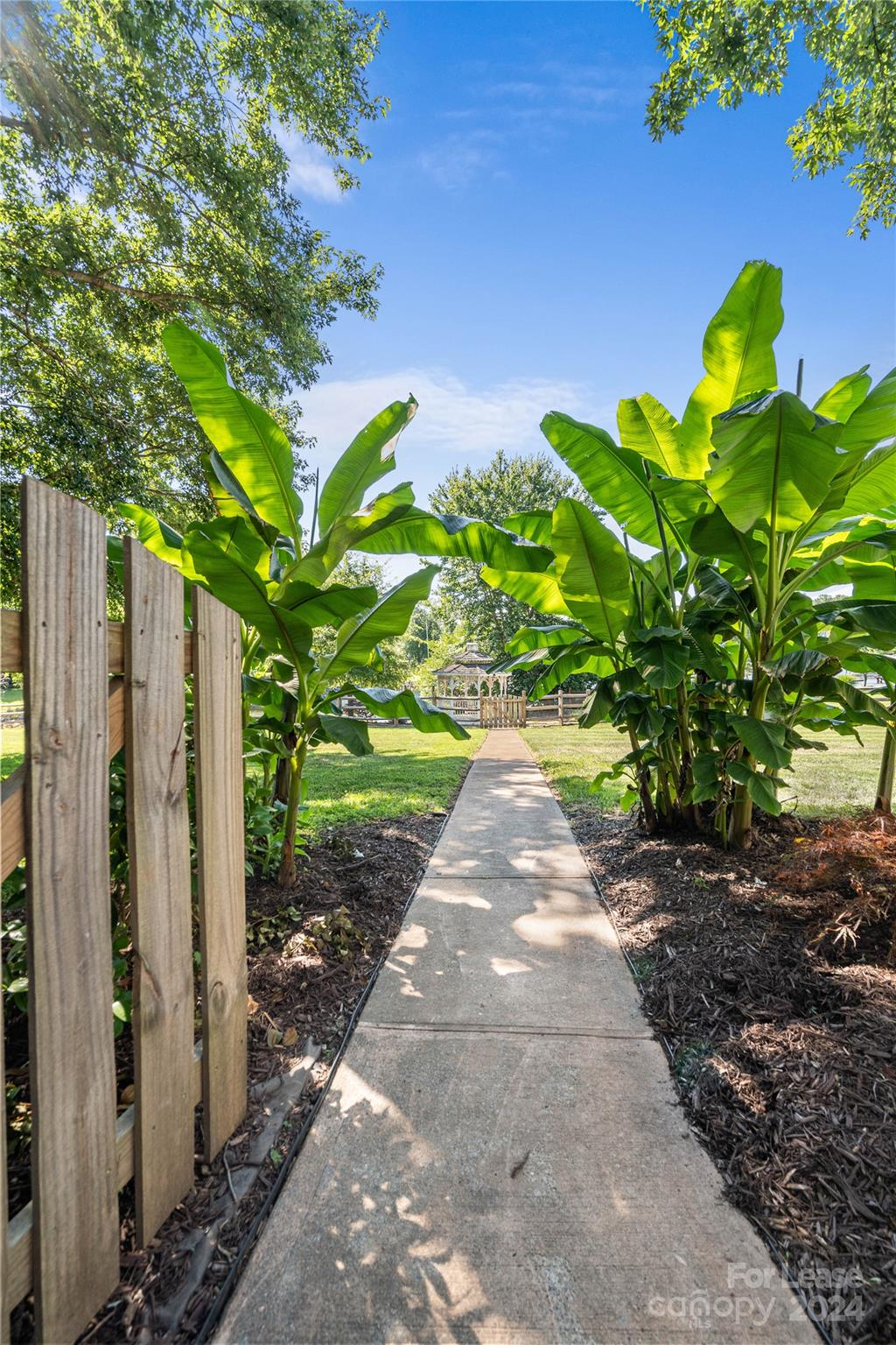 None - Residential Lease