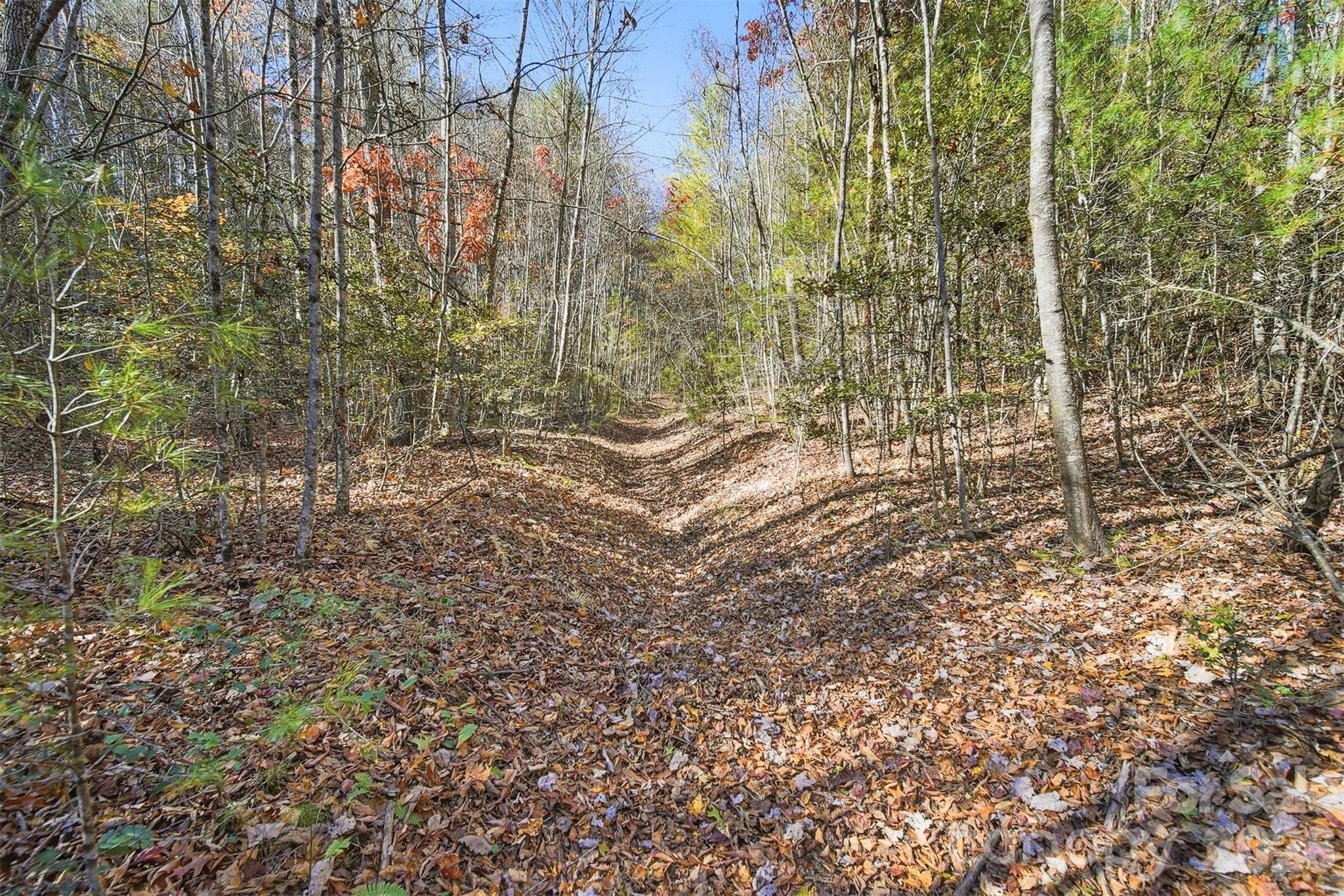VL Indian Grave Road