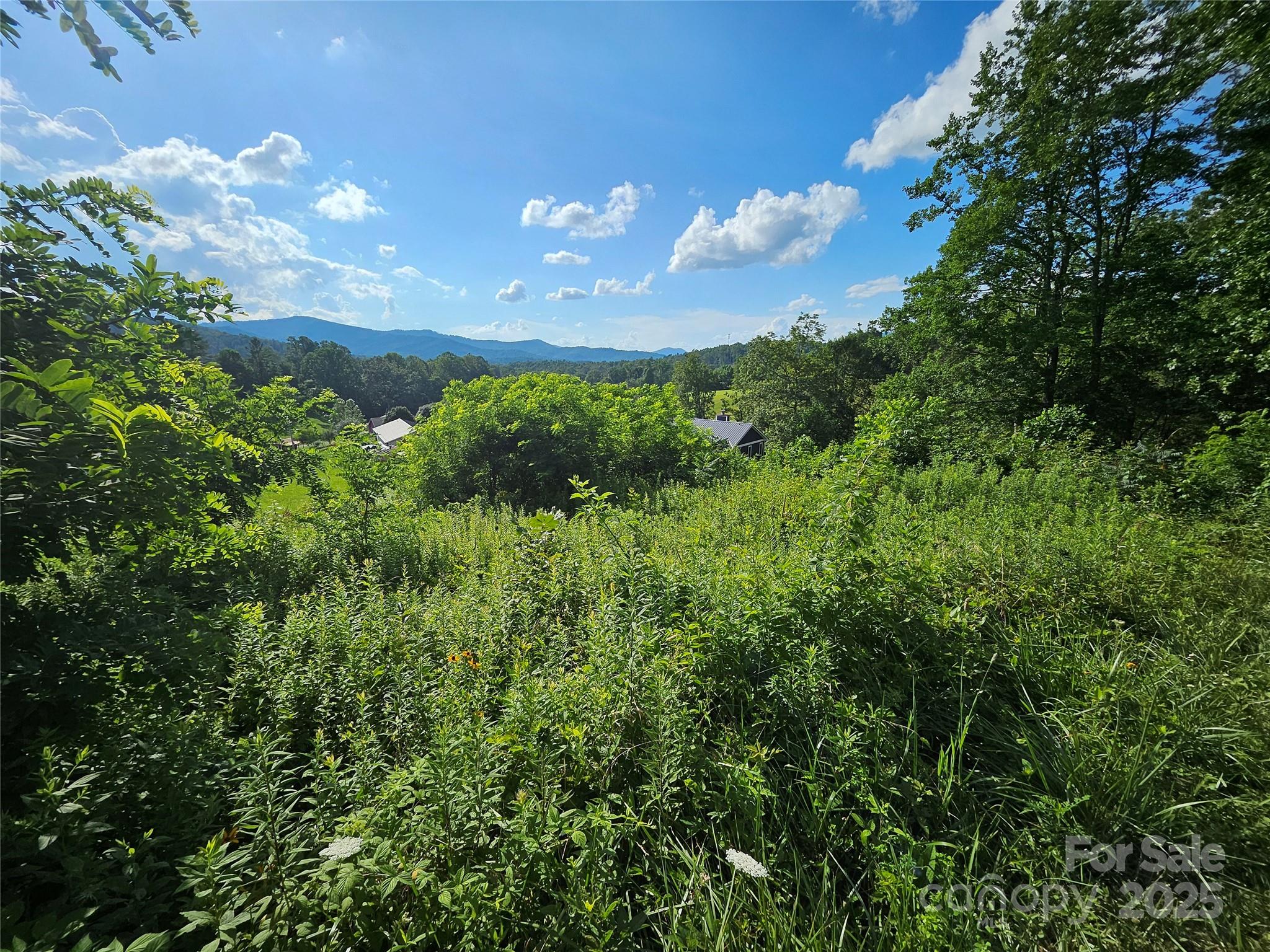 Dogwood Estates - Land