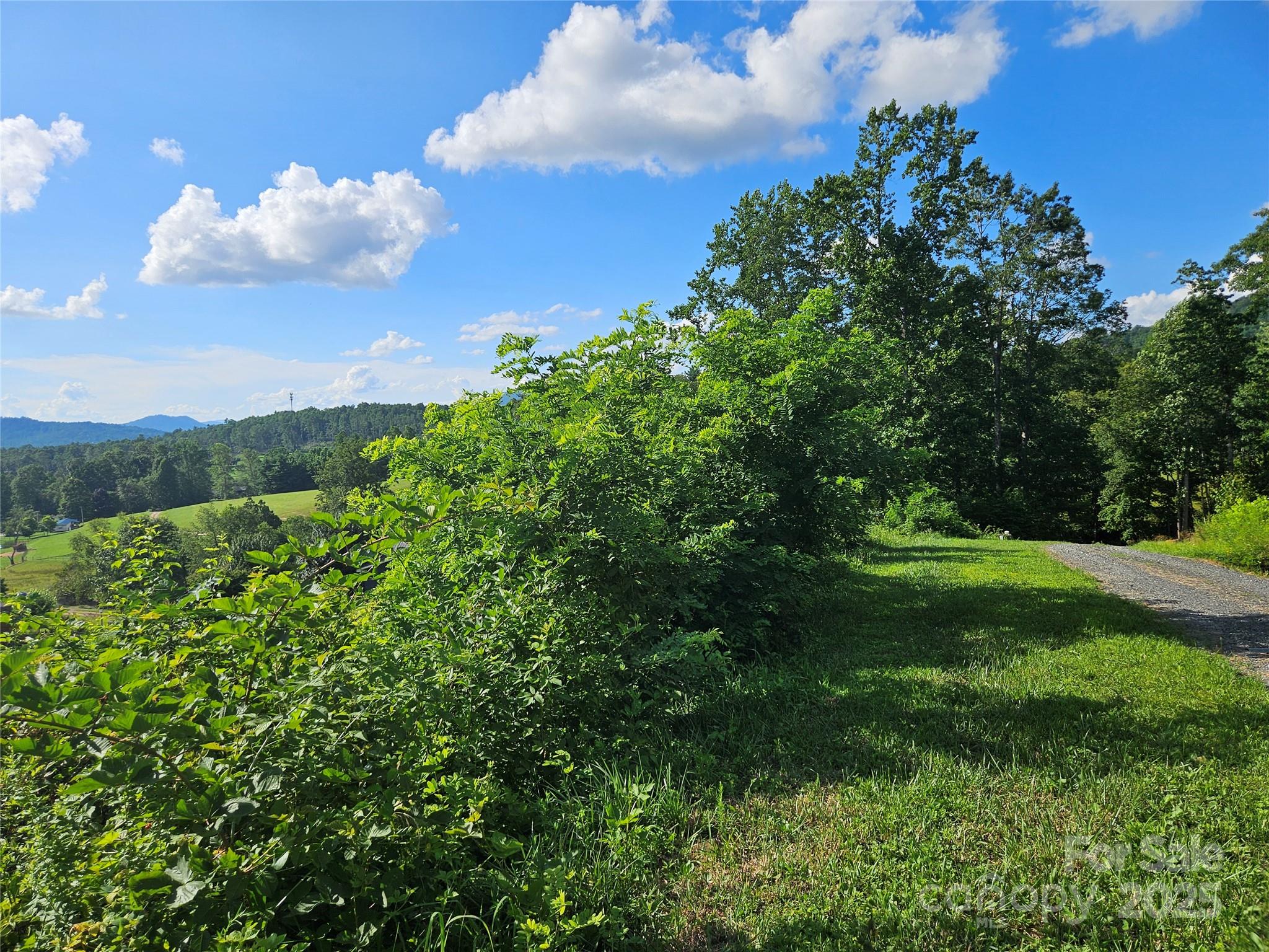 Dogwood Estates - Land